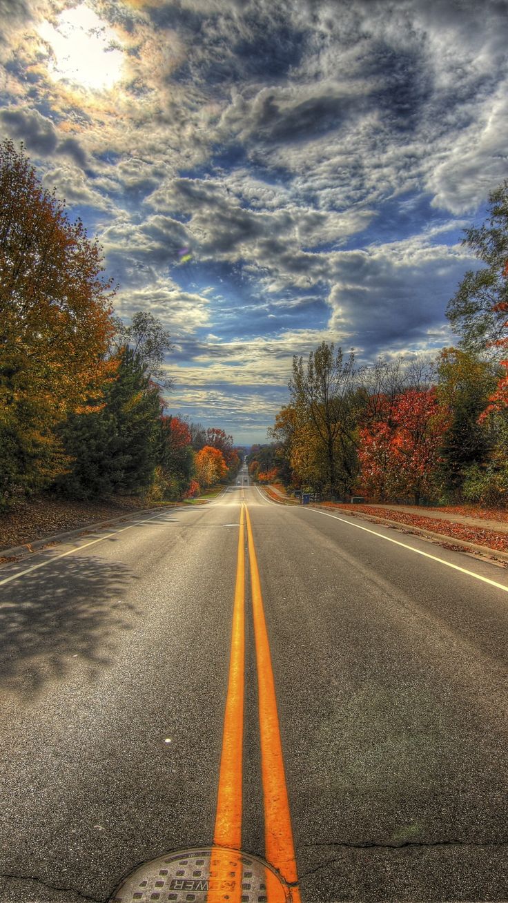 Beautiful Tree-Lined Road Wallpapers