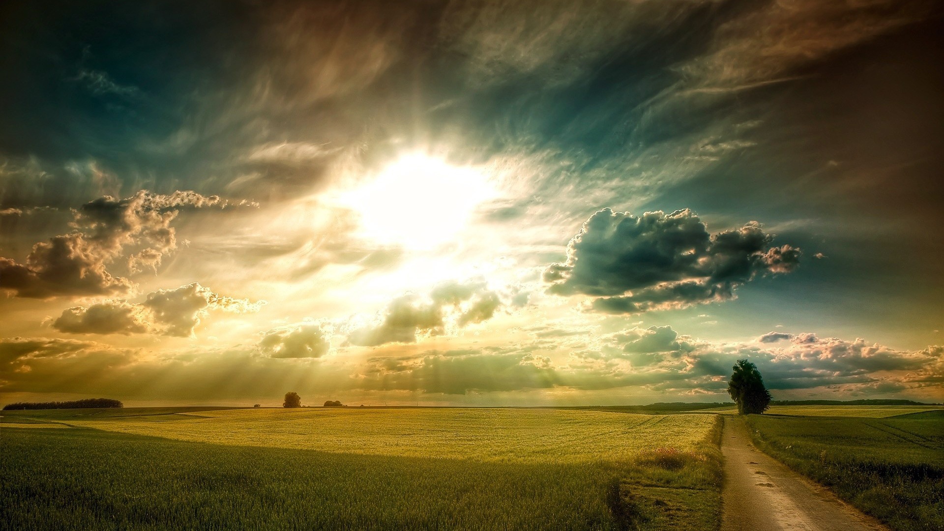 Beautiful Yellow Grass Field With Sunrays Landscape View Wallpapers