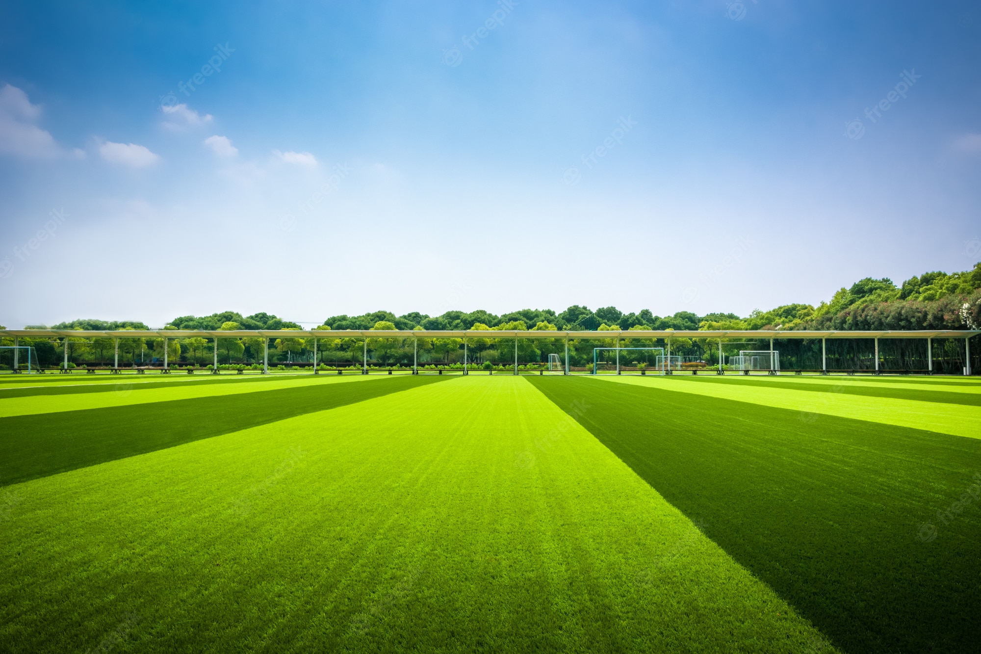 Beautiful Yellow Grass Field With Sunrays Landscape View Wallpapers