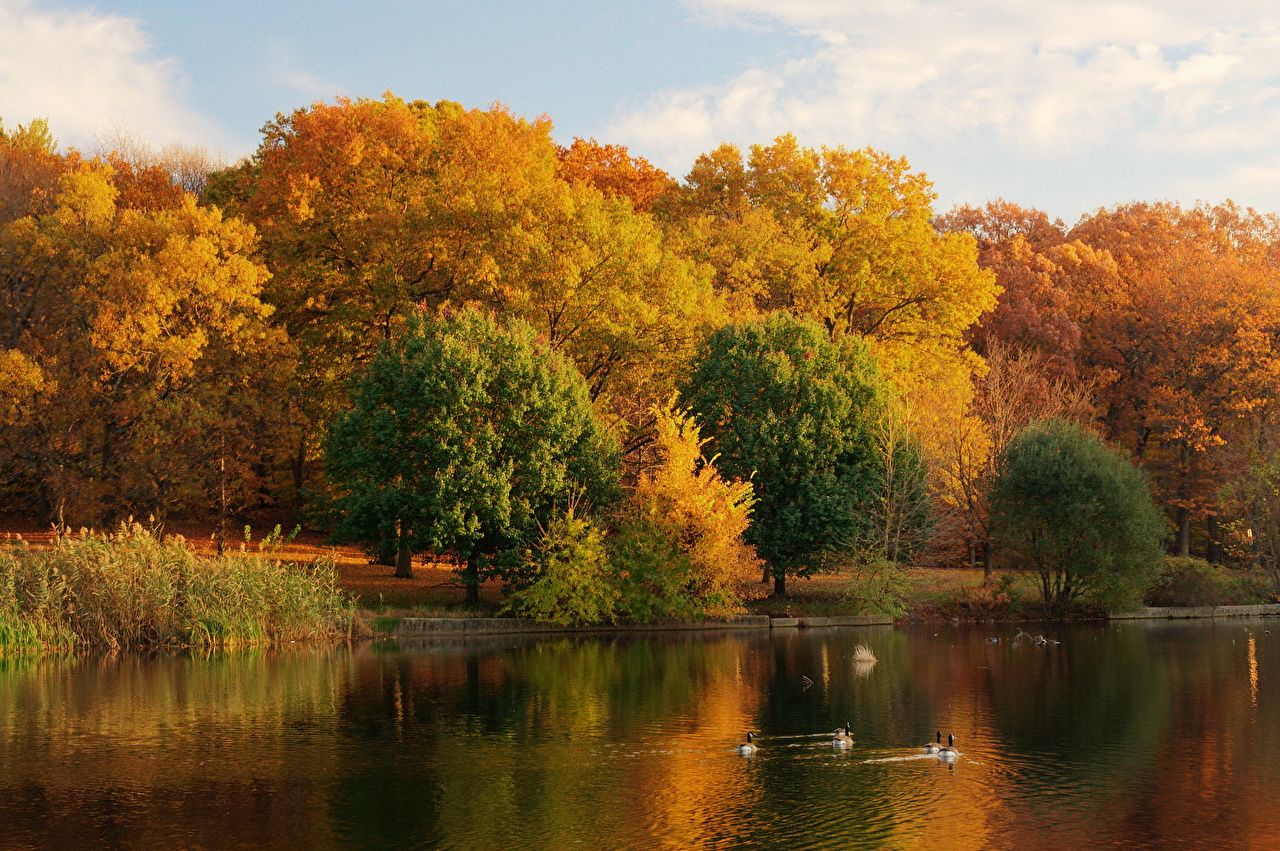 Beaver Lake Ozark Mountains Wallpapers