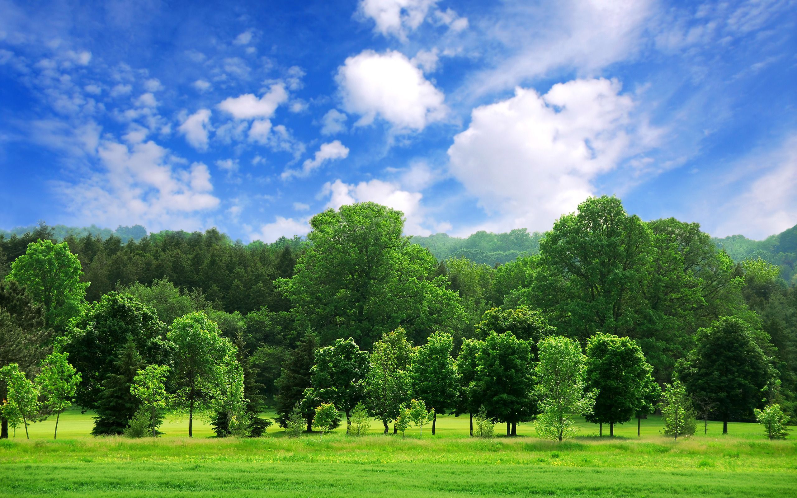 Bejaia Moutains Trees Sunlight Sky Wallpapers