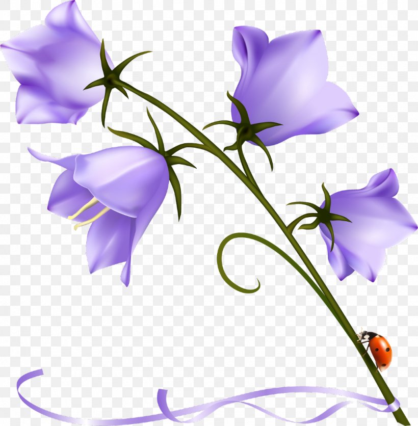 Bellflower Wallpapers