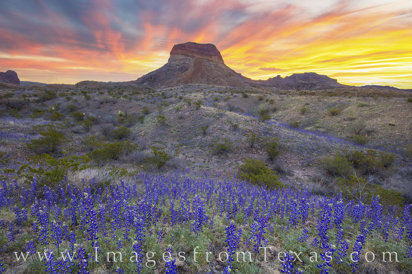 Big Bend National Park Wallpapers