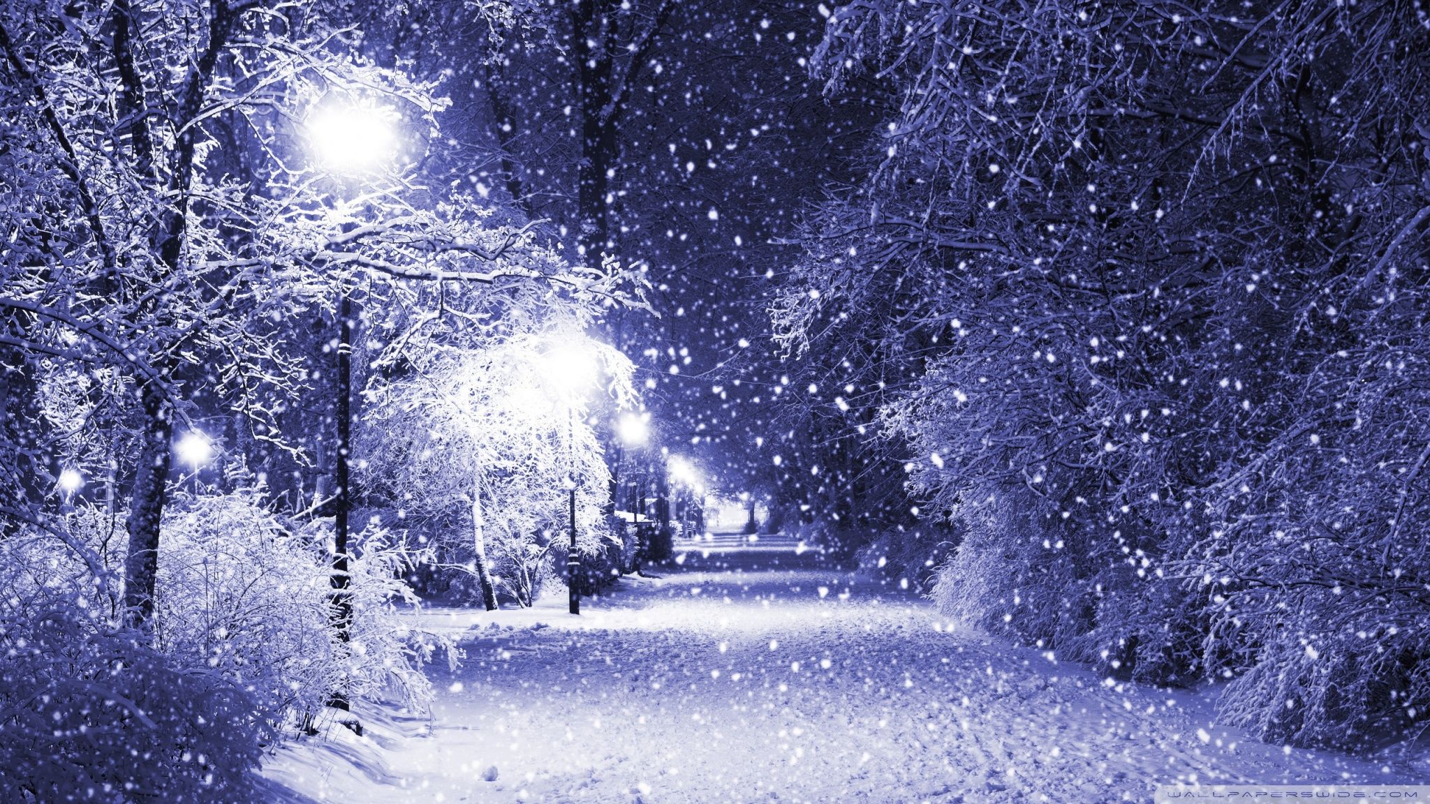 Black &Amp; White Snow Winter Night Wallpapers