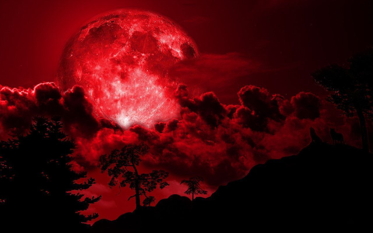 Blood Moon Wallpapers