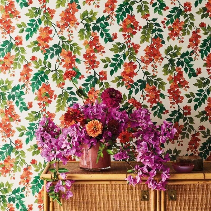 Bougainvillea Wallpapers