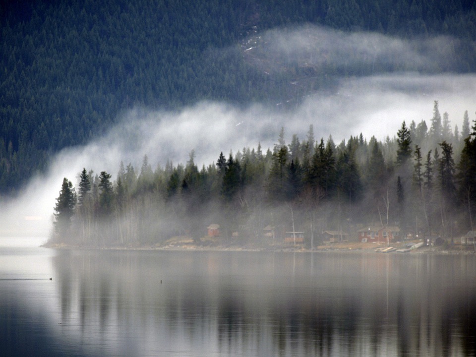 British Columbia Foggy Forest Wallpapers