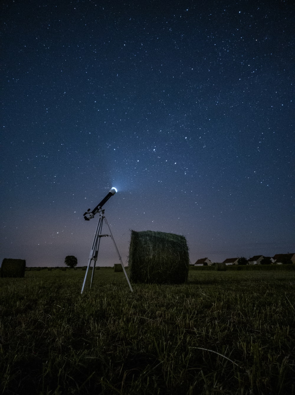 Brown Field Night Wallpapers