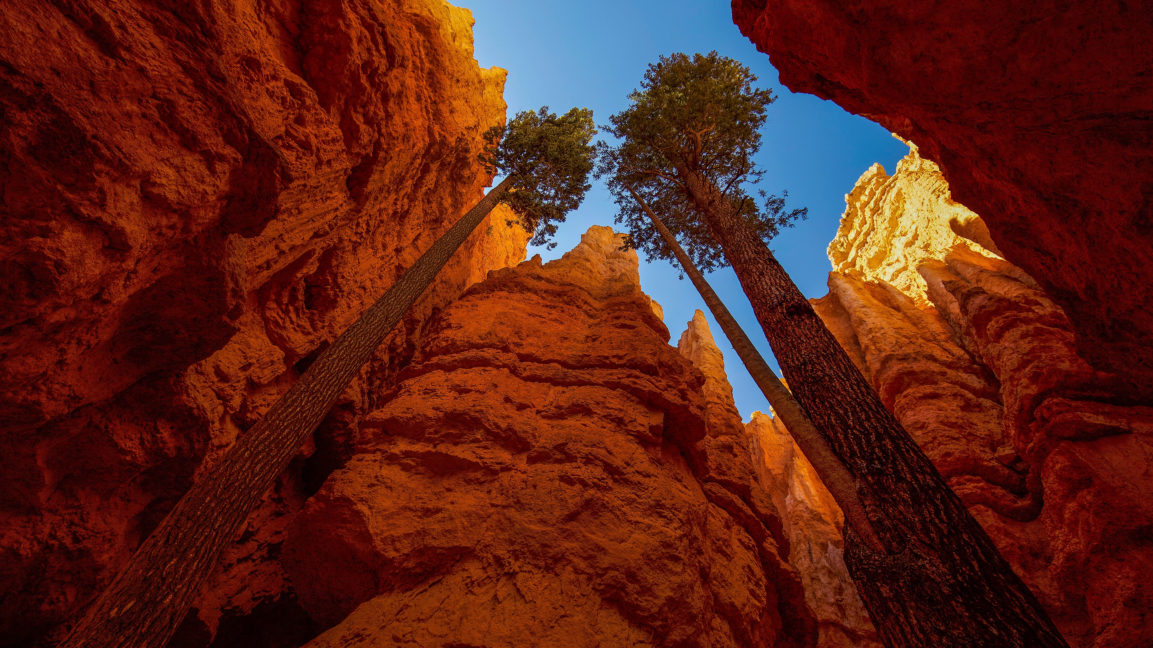 Bryce Canyon National Park Wallpapers