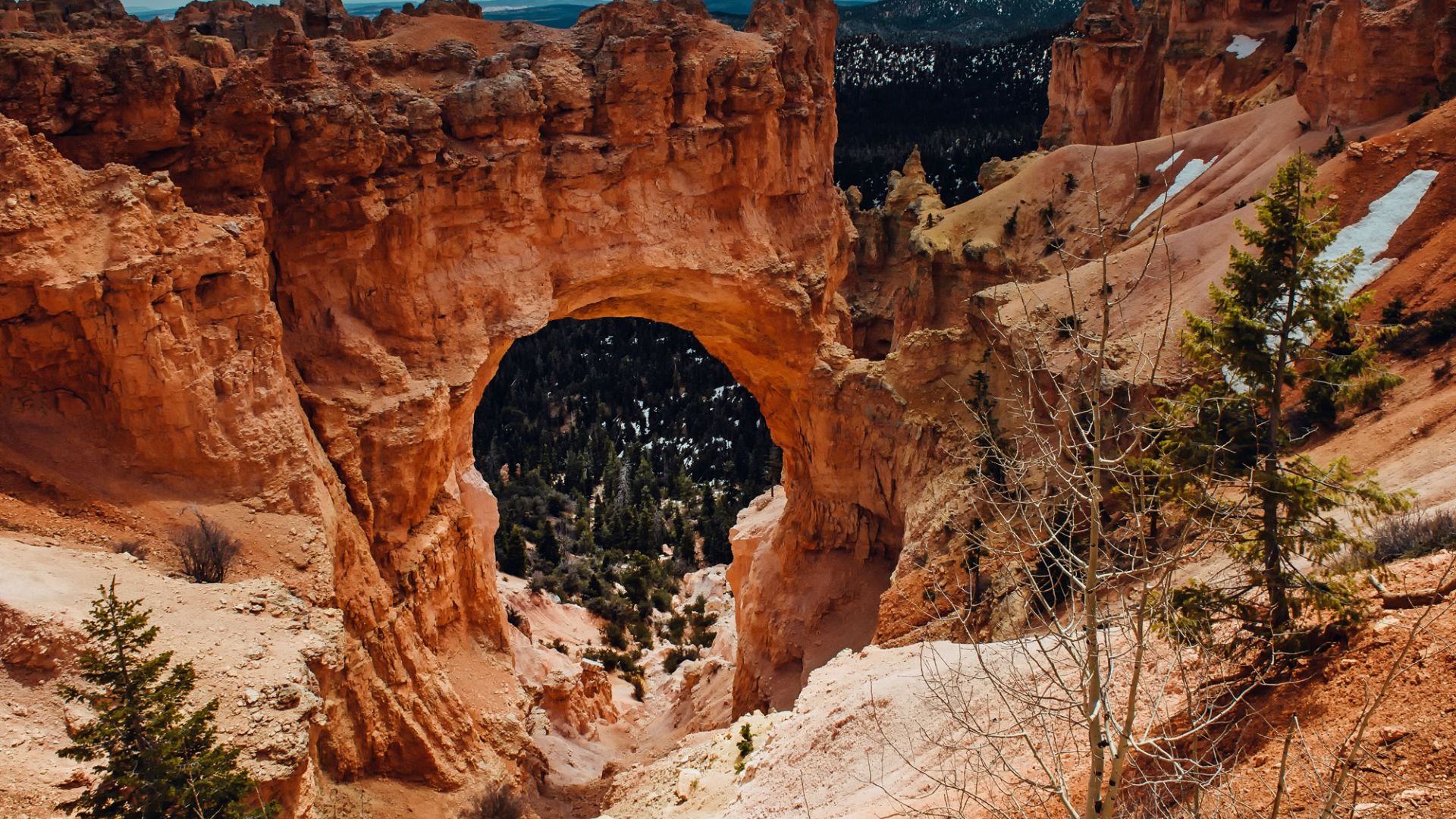 Bryce Canyon National Park Wallpapers