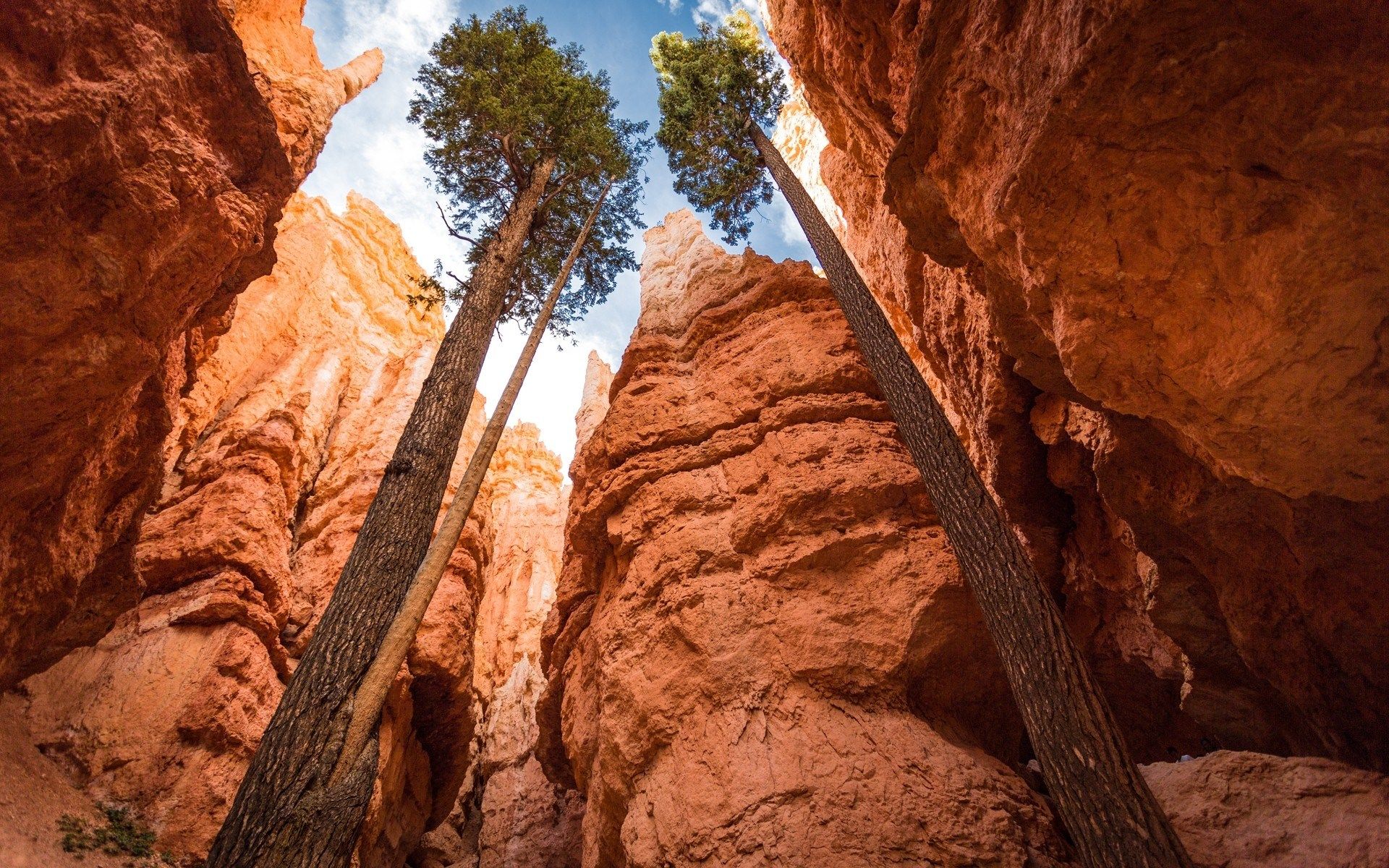 Bryce Canyon National Park Wallpapers