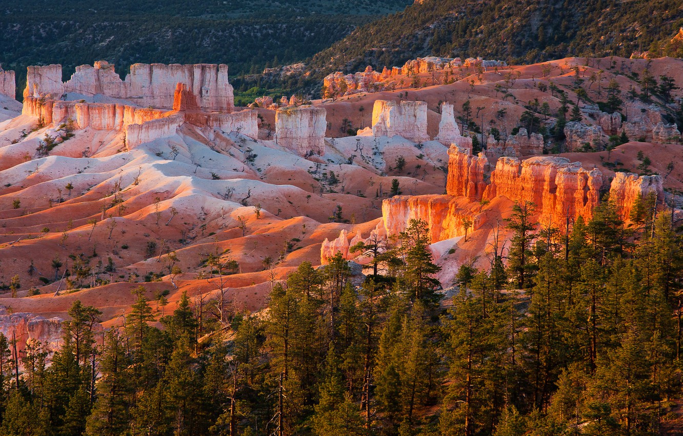 Bryce Canyon National Park Wallpapers