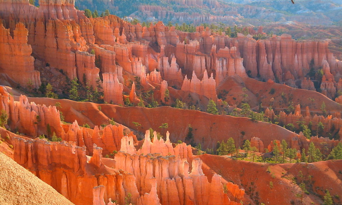 Bryce Canyon National Park Wallpapers