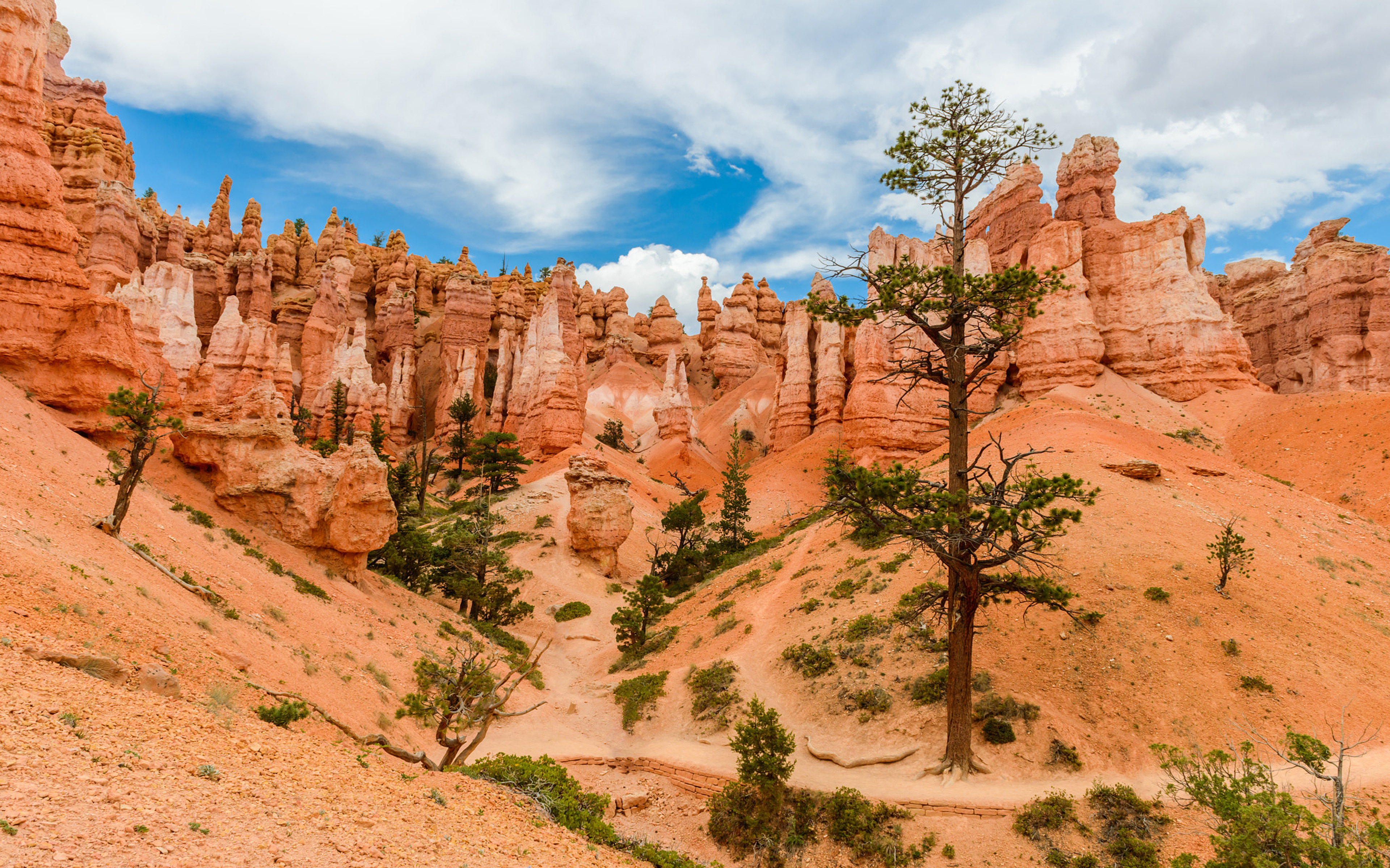 Bryce Canyon National Park Wallpapers