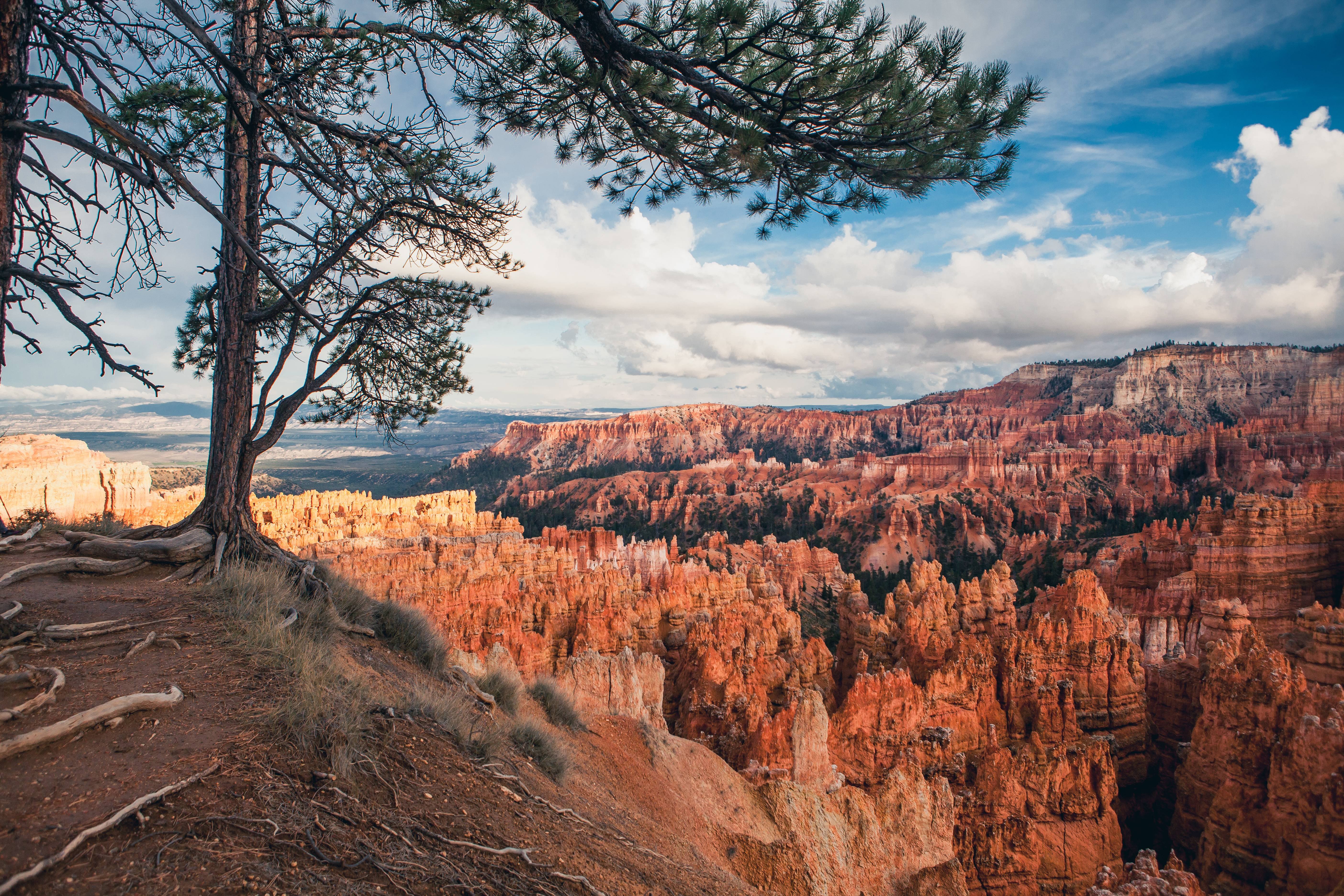 Bryce Canyon National Park Wallpapers