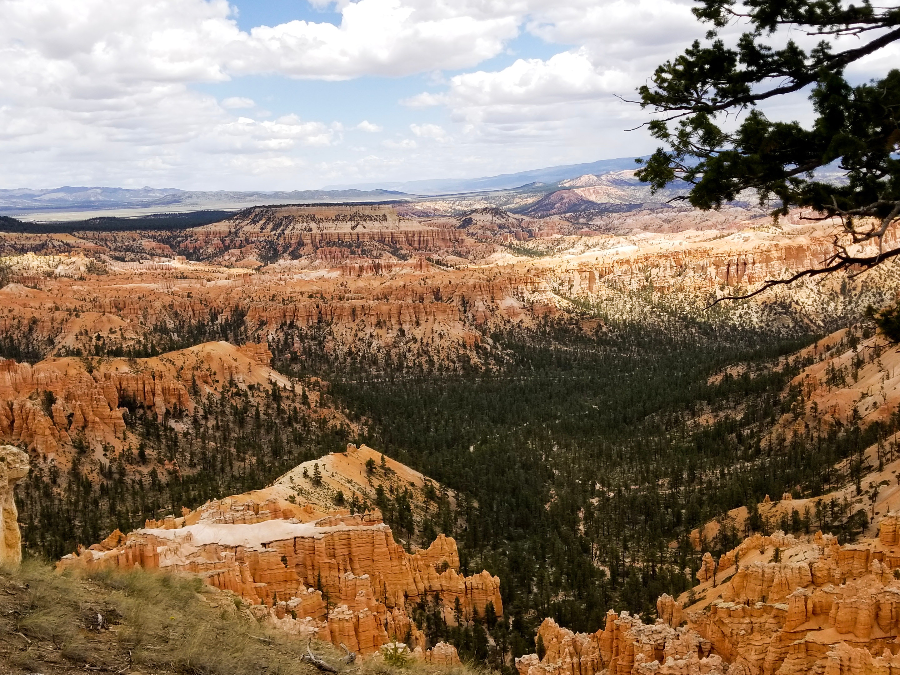 Bryce Canyon National Park Wallpapers