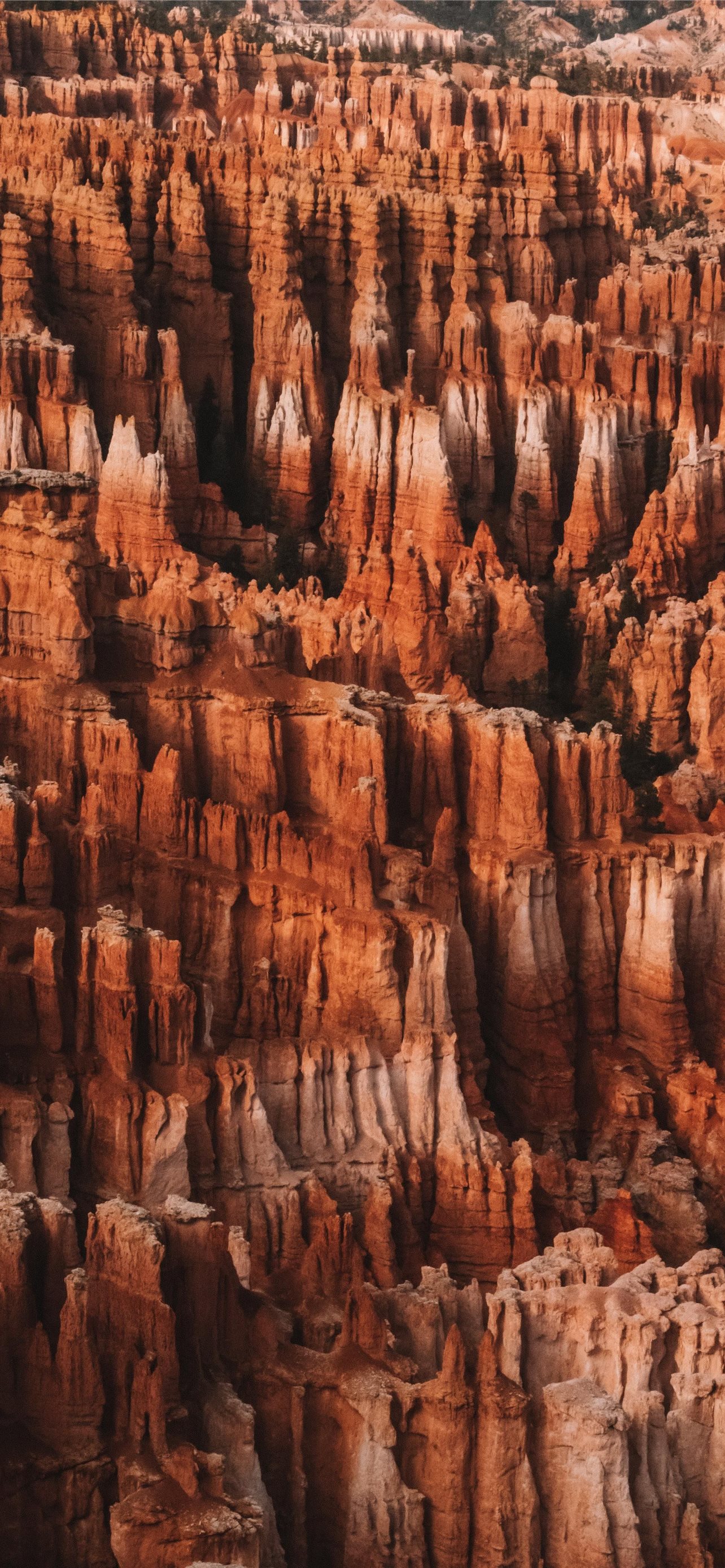 Bryce Canyon National Park Wallpapers