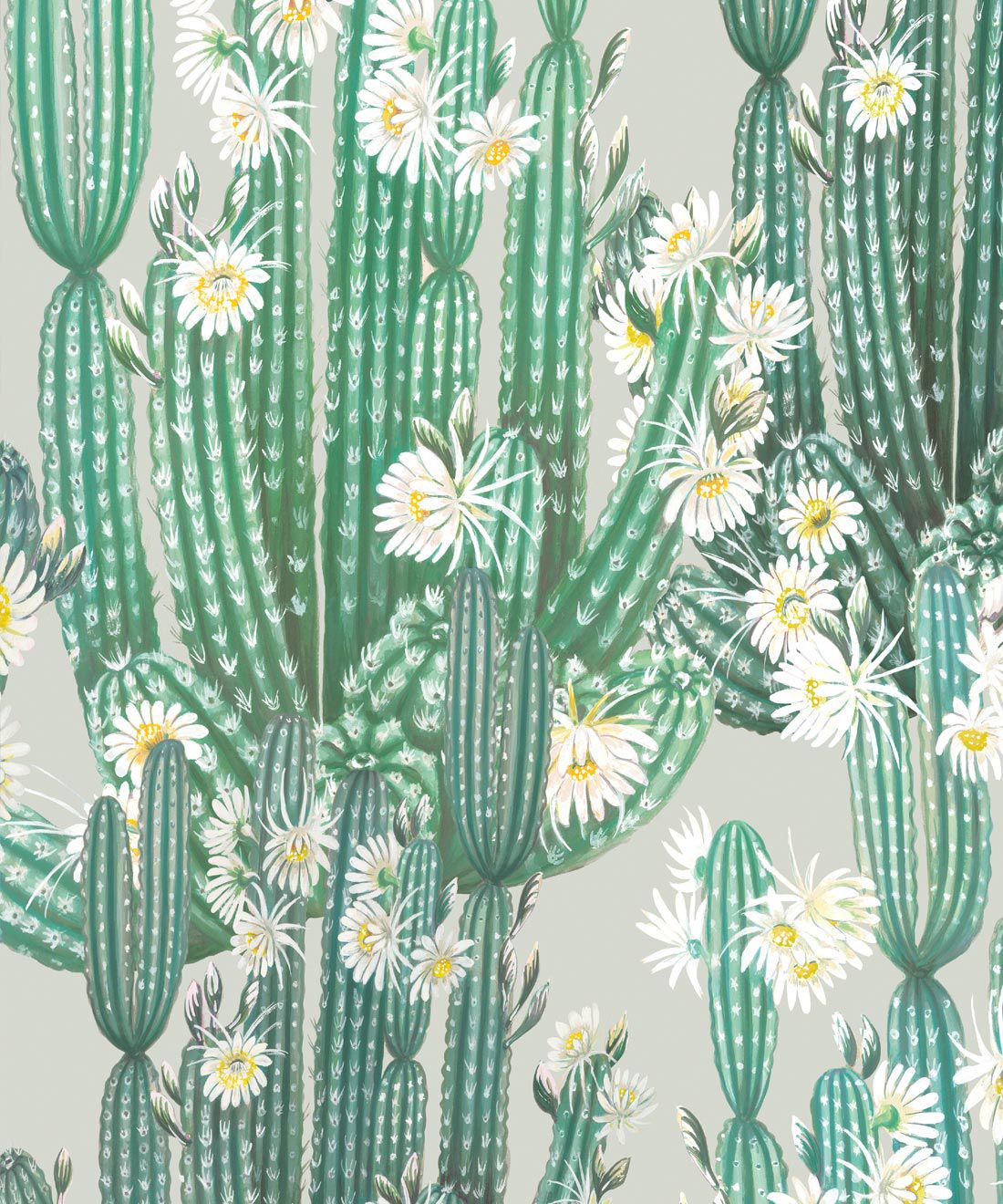 Cactus Wallpapers