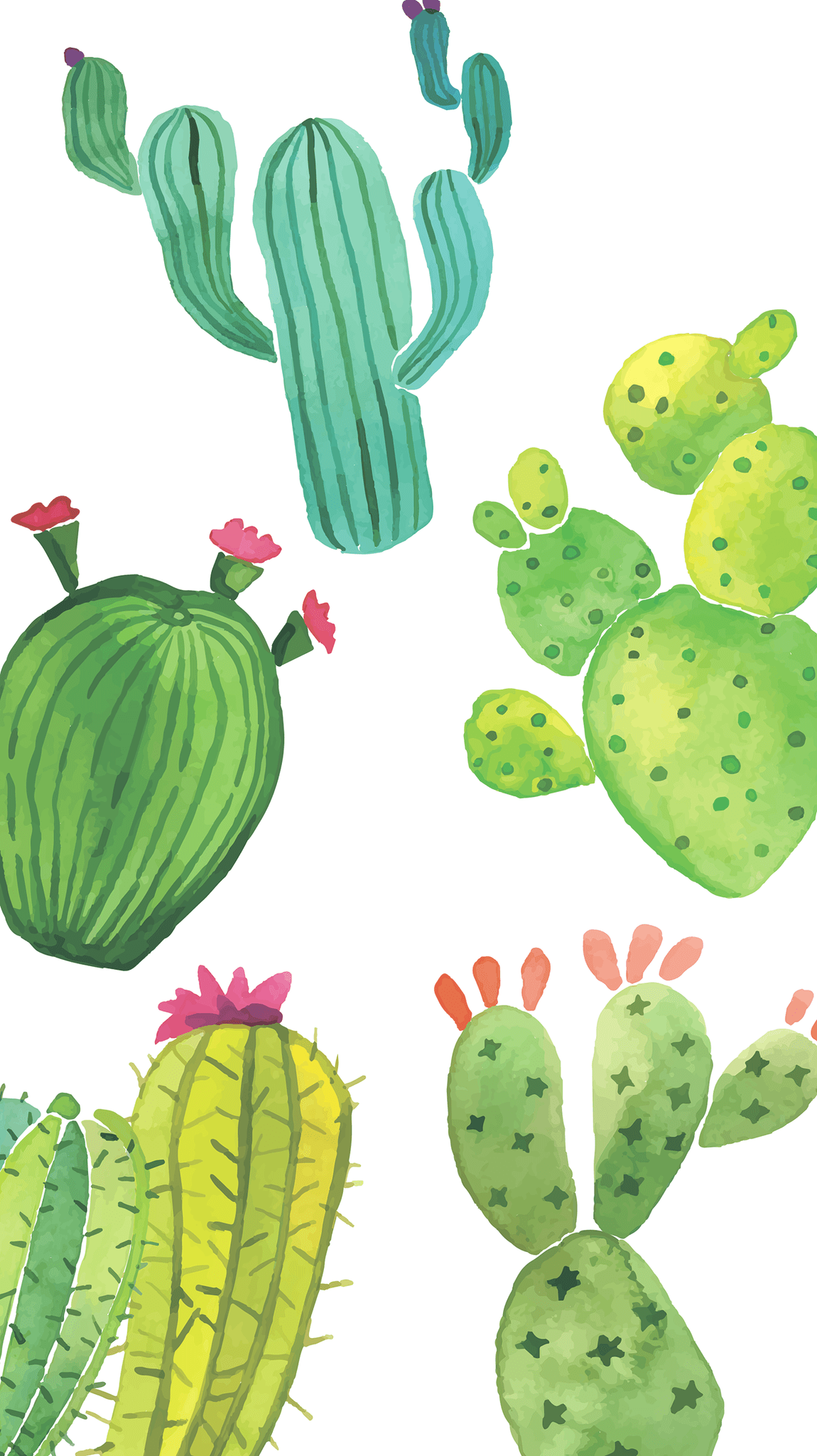 Cactus Wallpapers