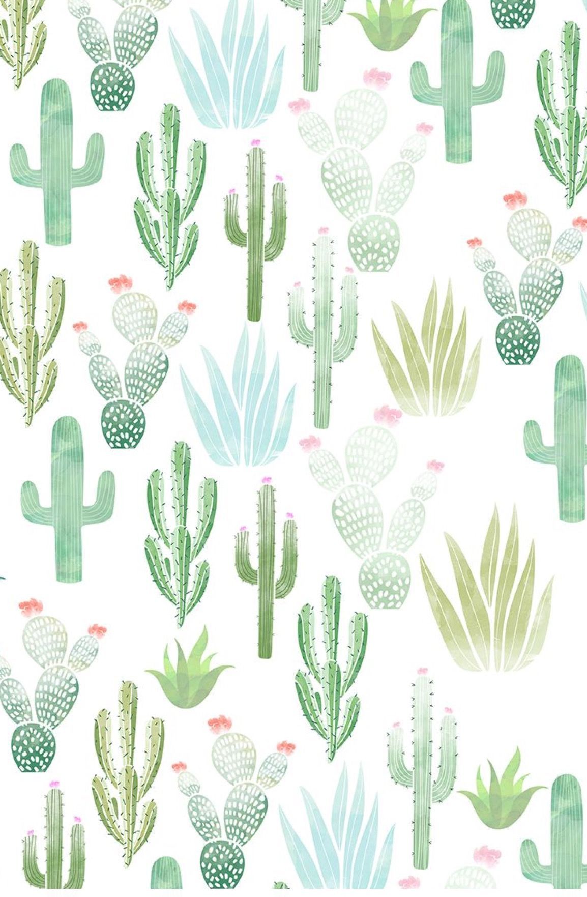 Cactus Wallpapers