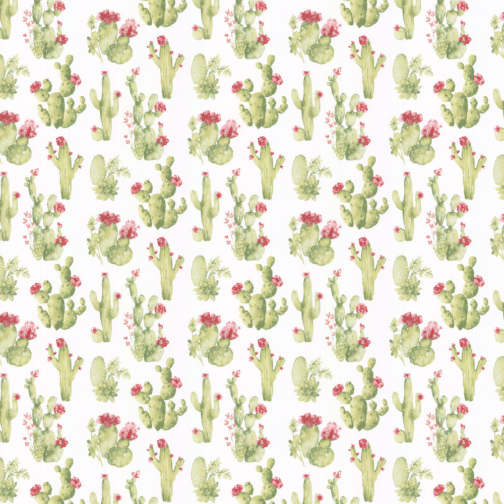 Cactus Wallpapers