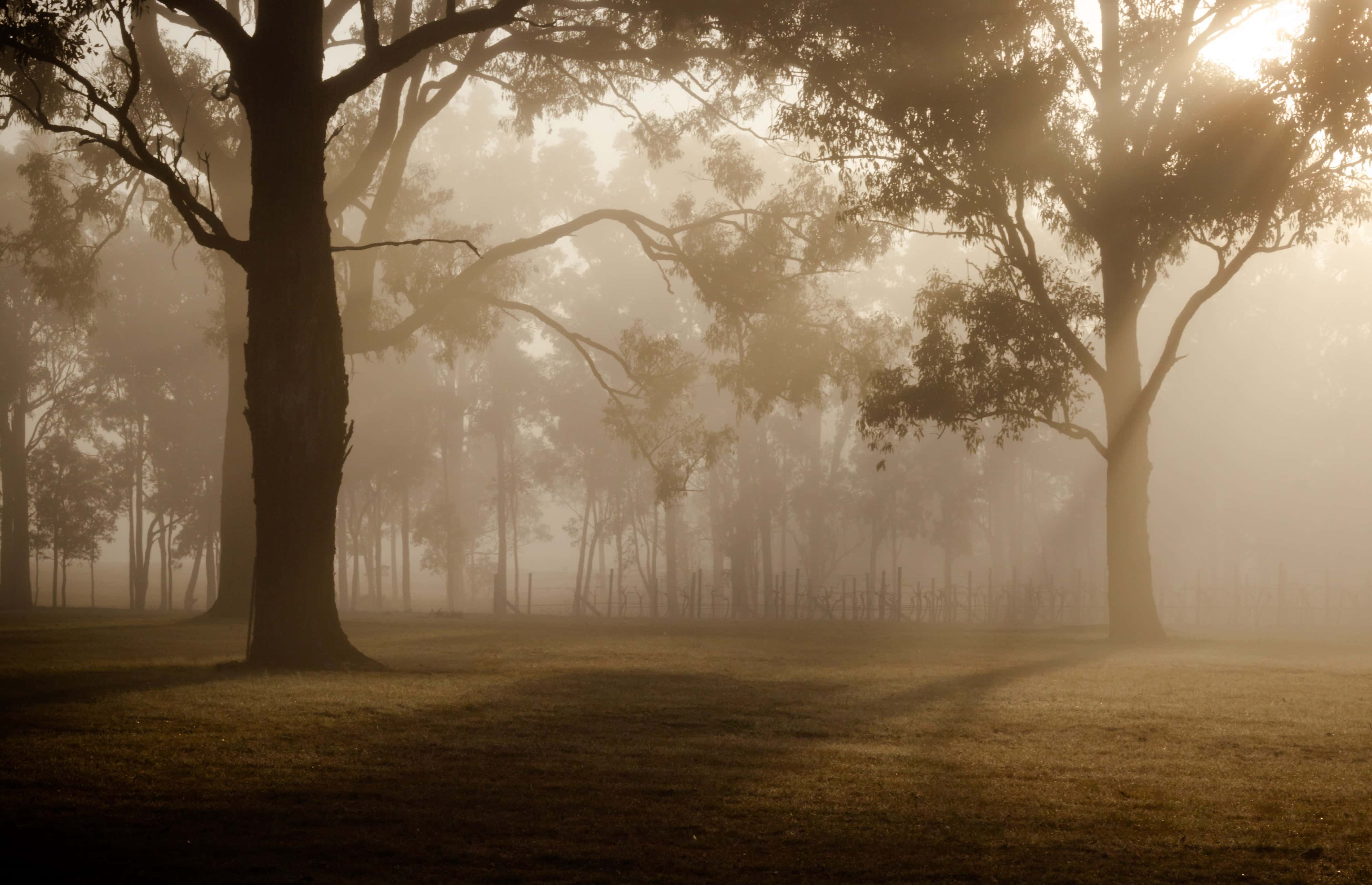 Calm Volcano Landscape In Fog Wallpapers