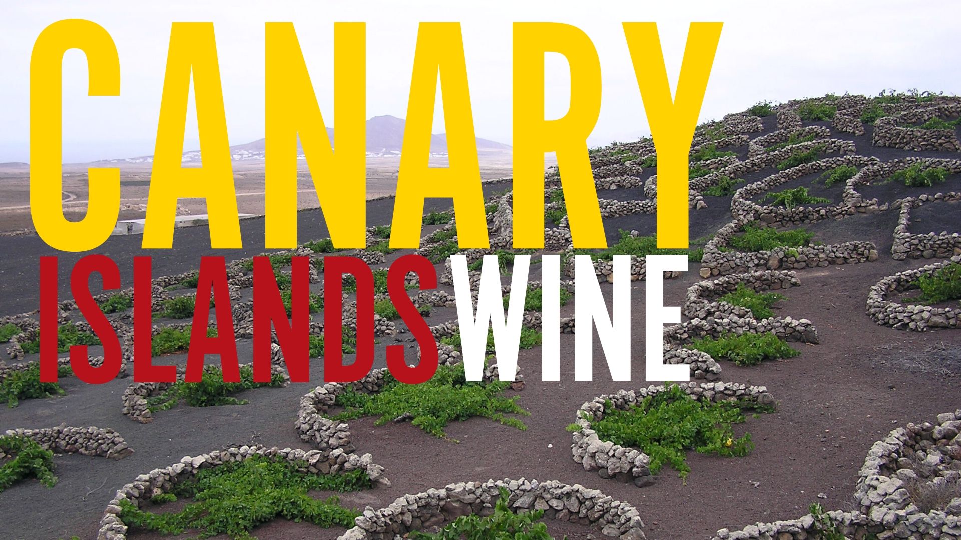 Canary Islands Vineyard Wallpapers
