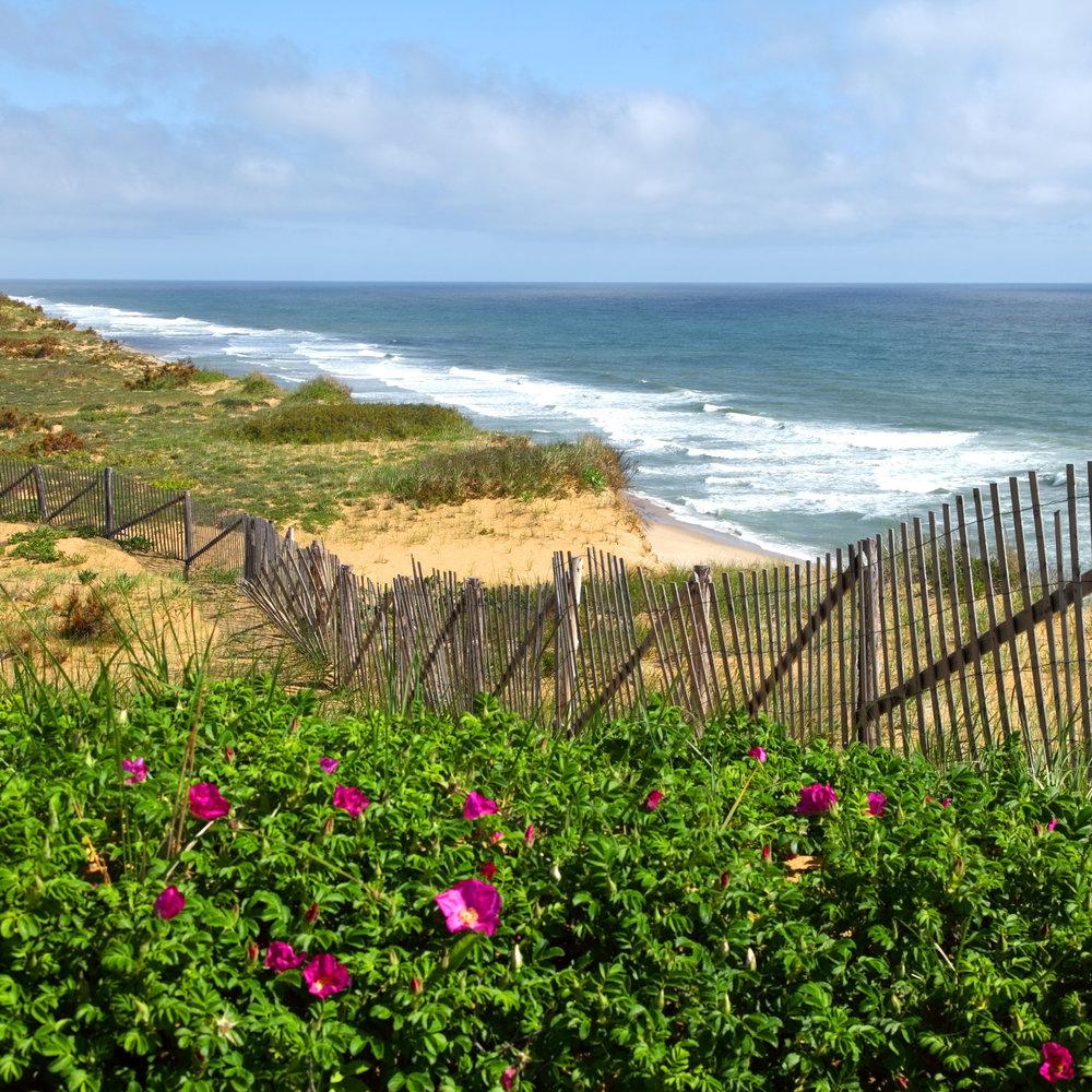 Cape Cod National Seashore Wallpapers