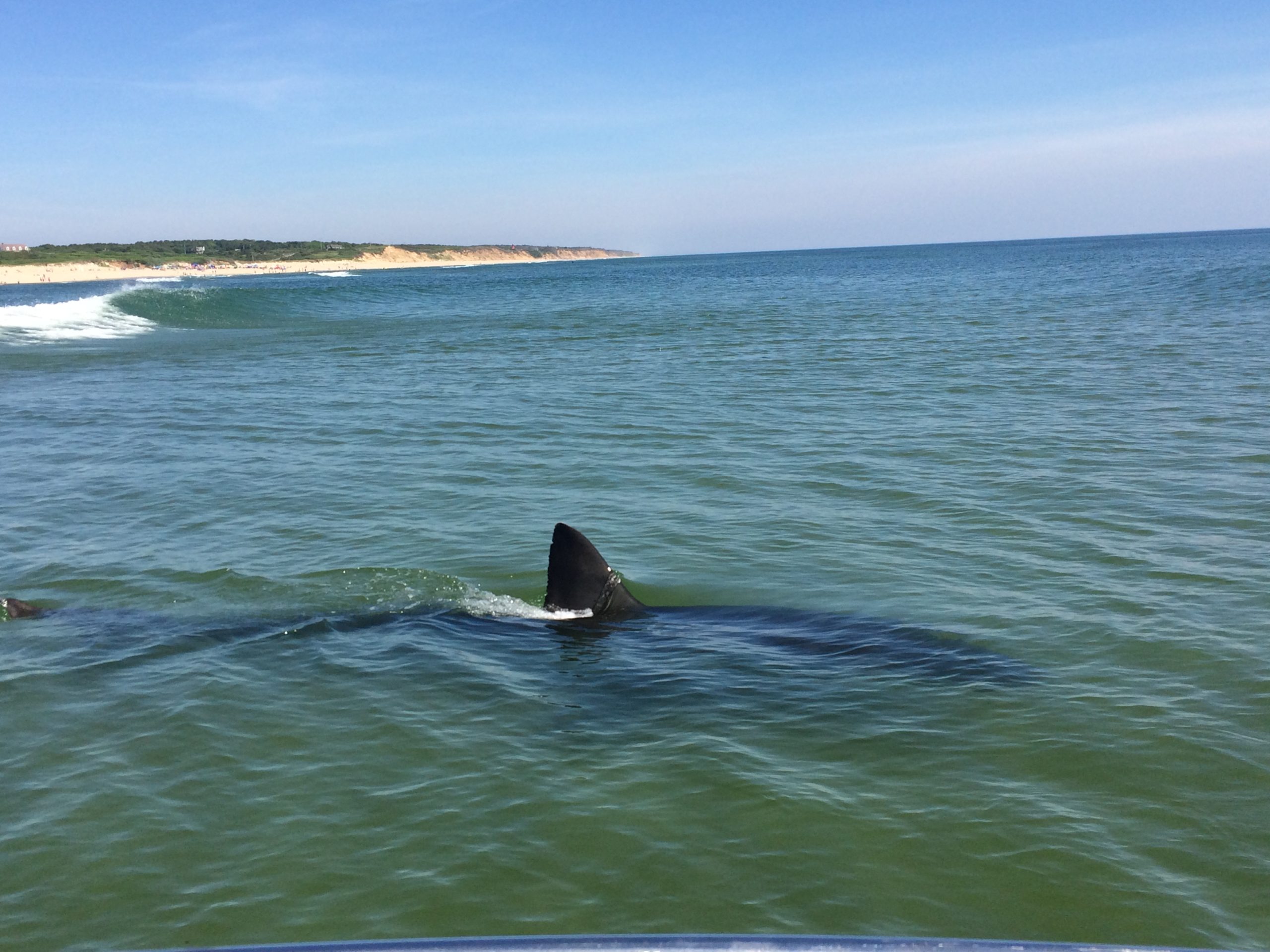 Cape Cod National Seashore Wallpapers