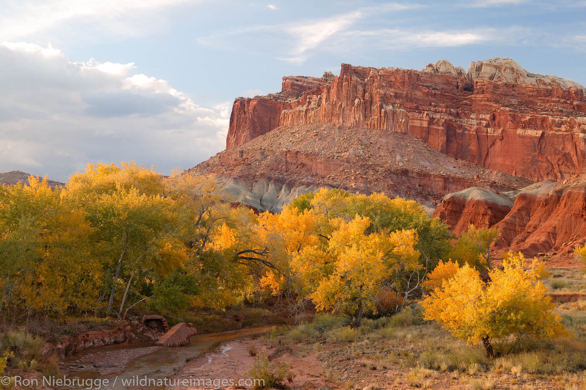 Capitol Reef National Park Wallpapers