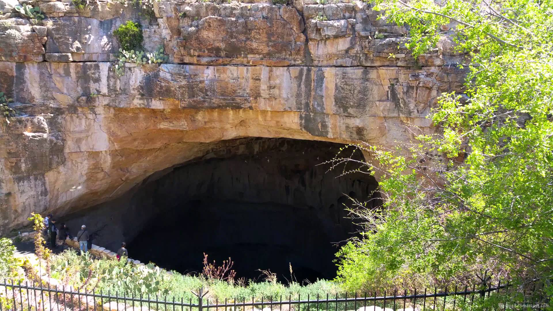 Carlsbad Caverns National Park Wallpapers