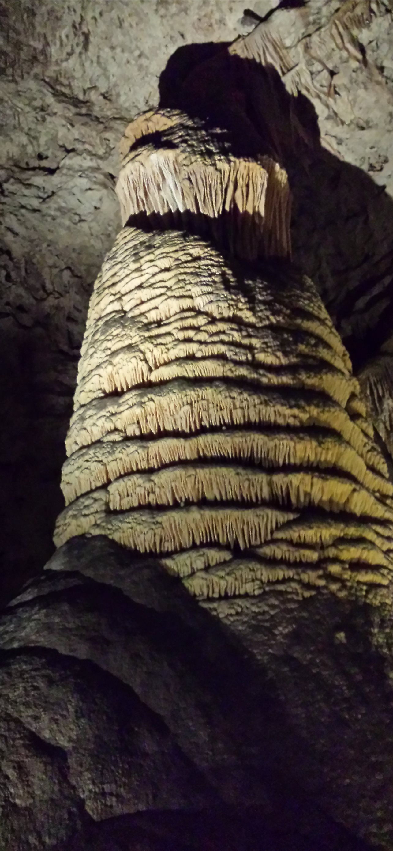 Carlsbad Caverns National Park Wallpapers