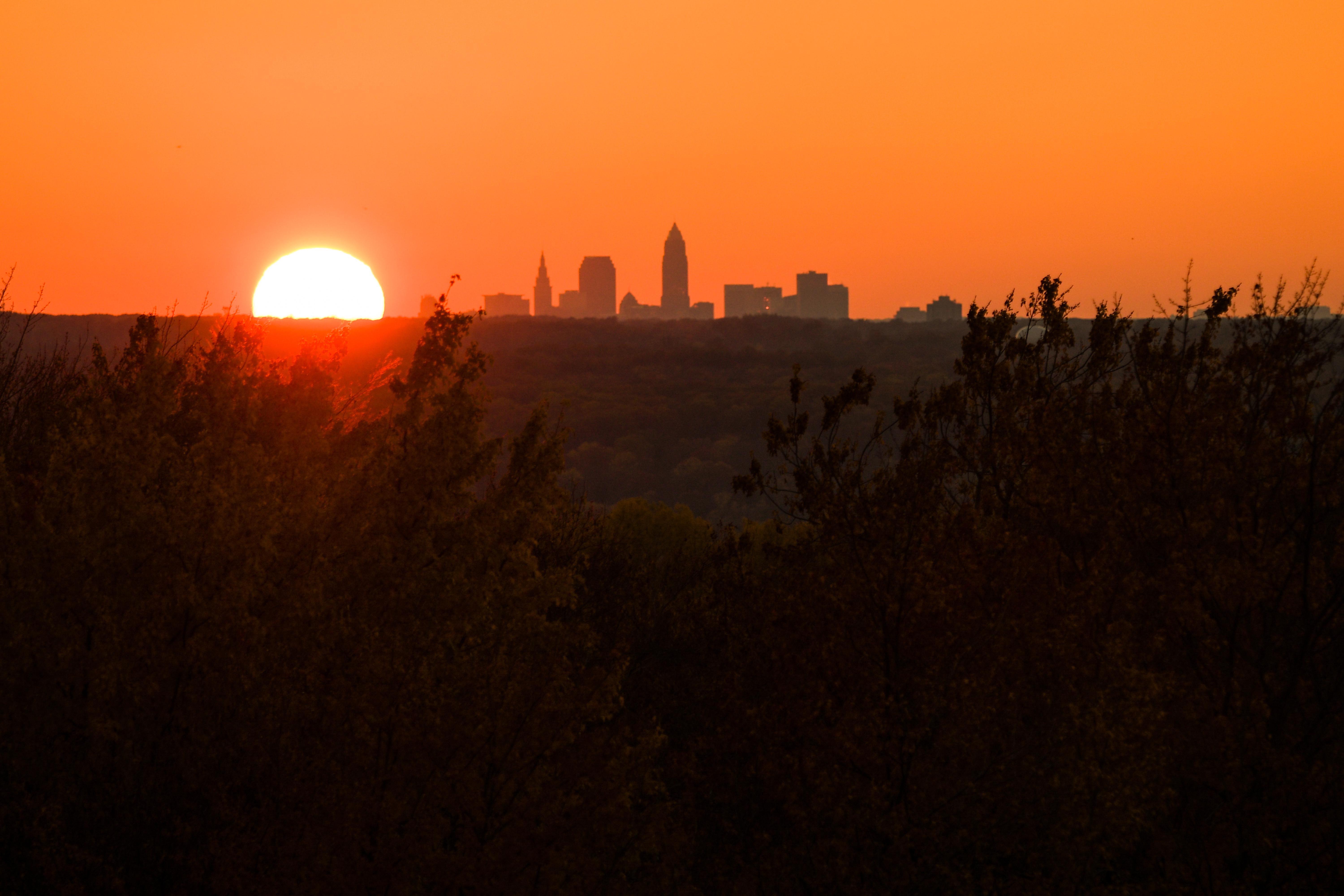 Chapin Forest Reservation Evening Wallpapers