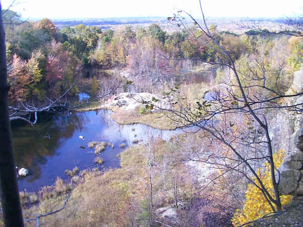 Chapin Forest Reservation Evening Wallpapers