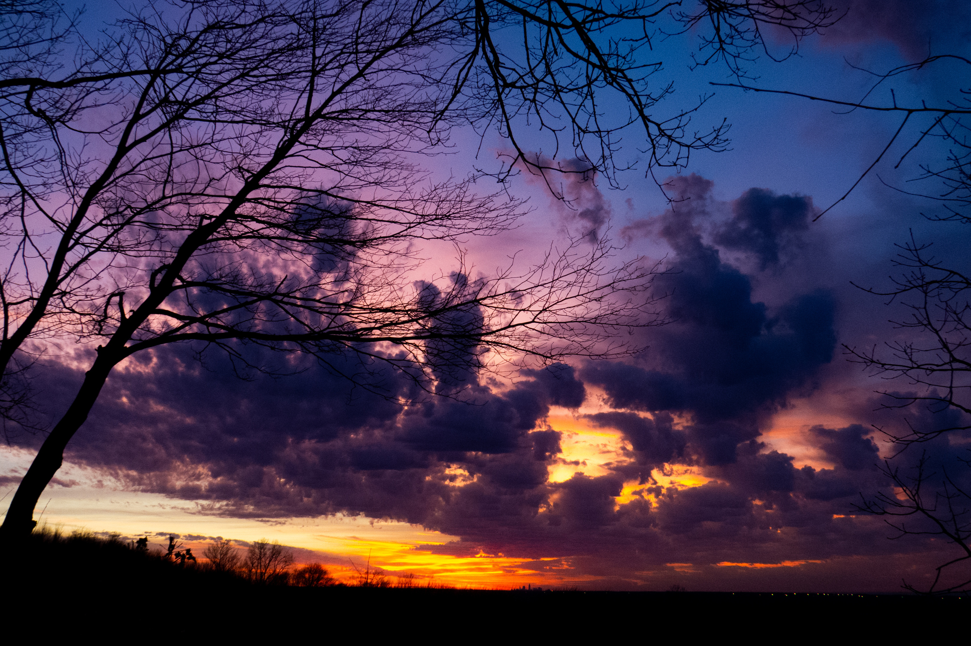 Chapin Forest Reservation Evening Wallpapers