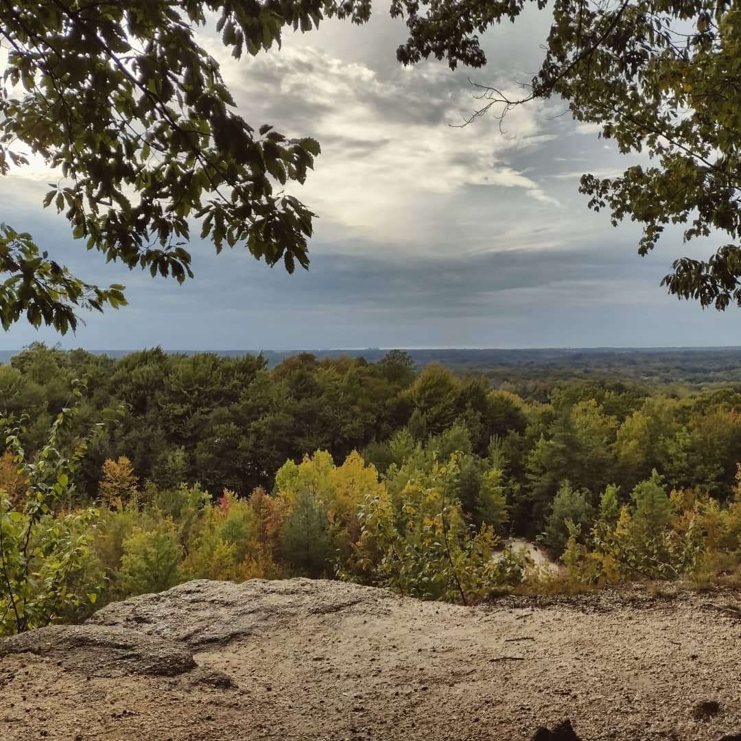 Chapin Forest Reservation Evening Wallpapers