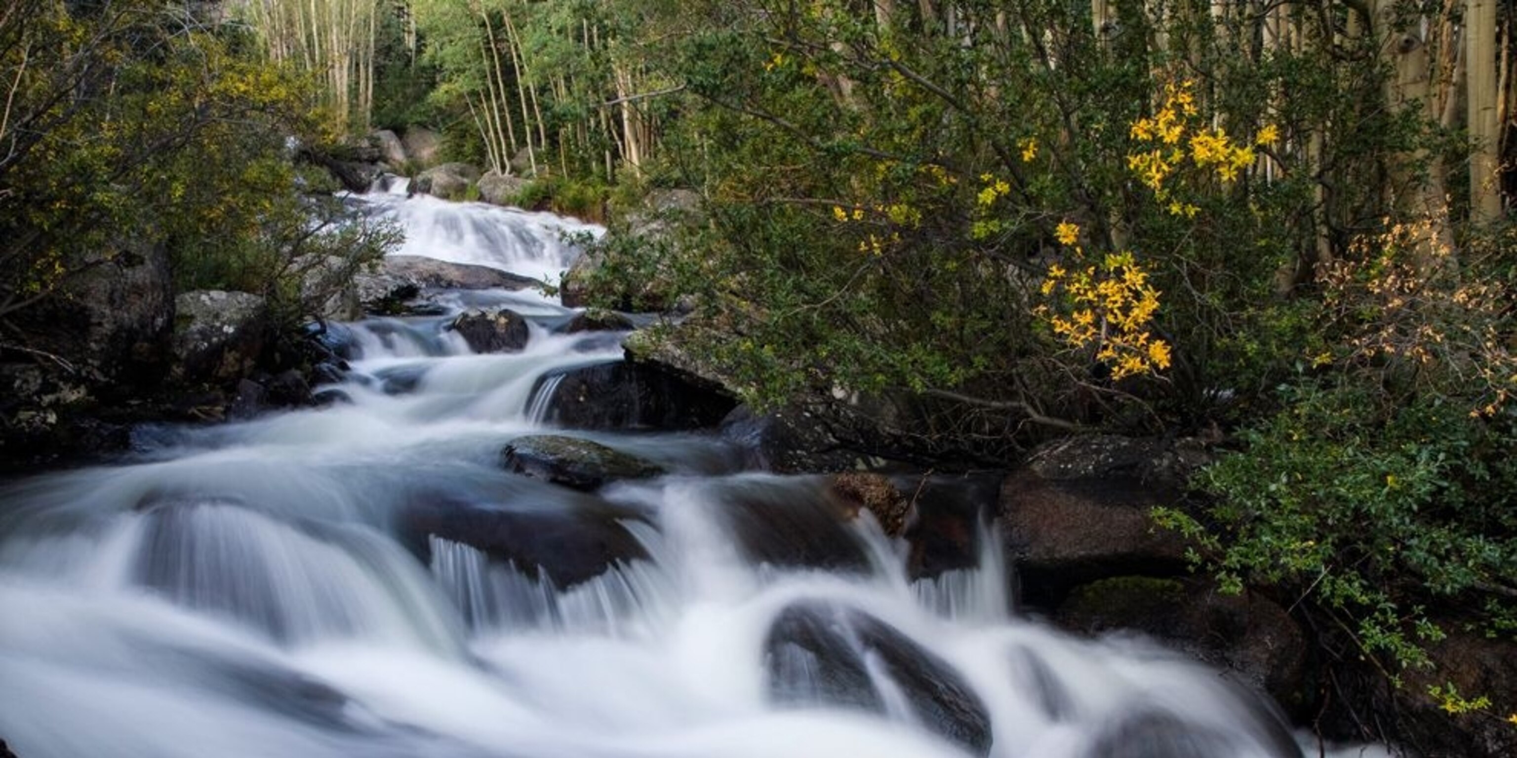 Chapin Forest Reservation Evening Wallpapers