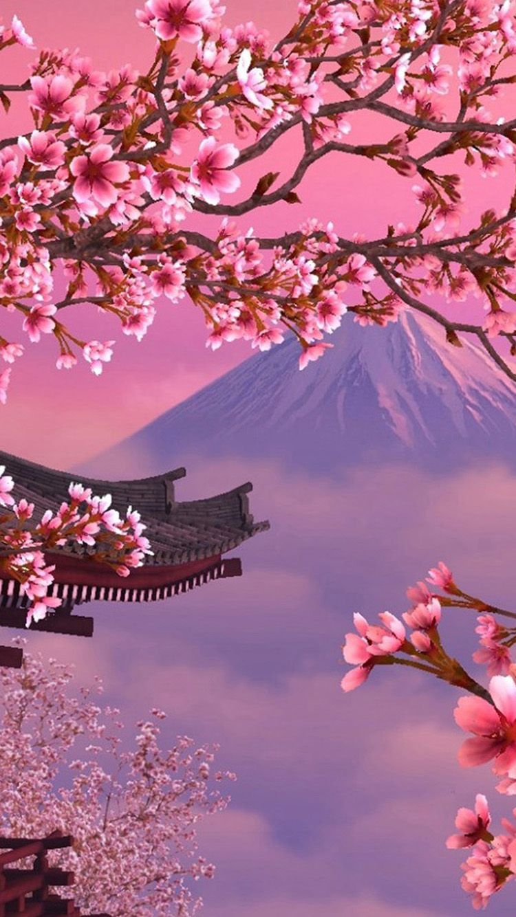 Cherry Blossoms Wallpapers