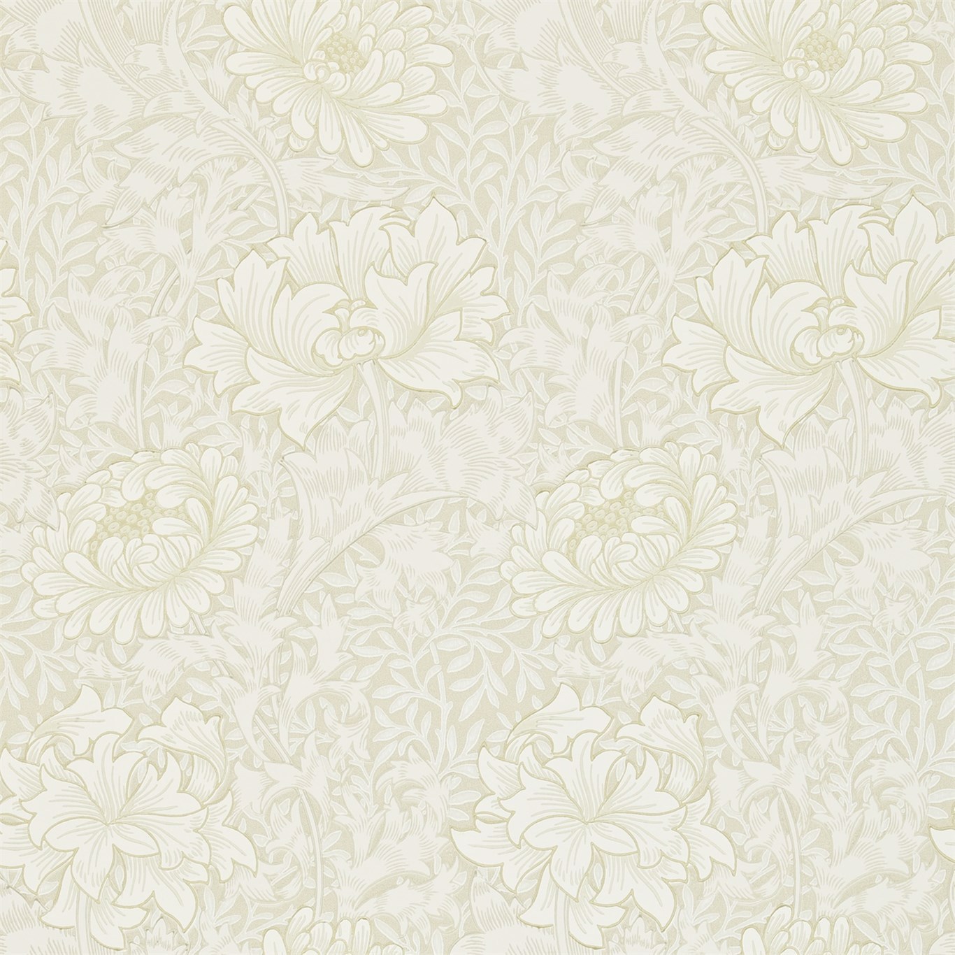 Chrysanthemum Wallpapers