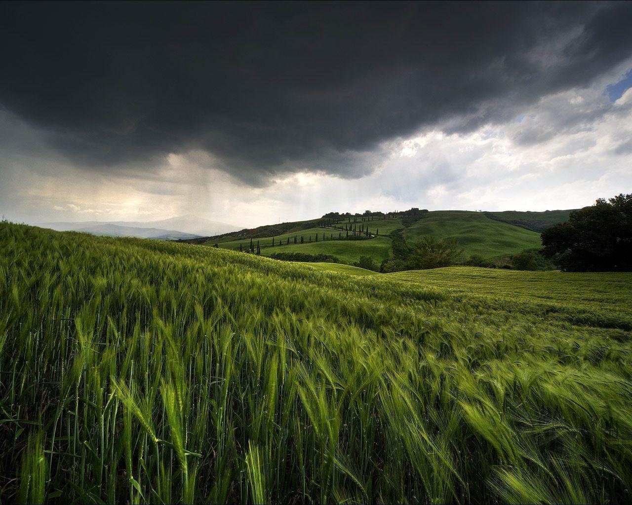 Cloudy Dramatic Hd Field Wallpapers