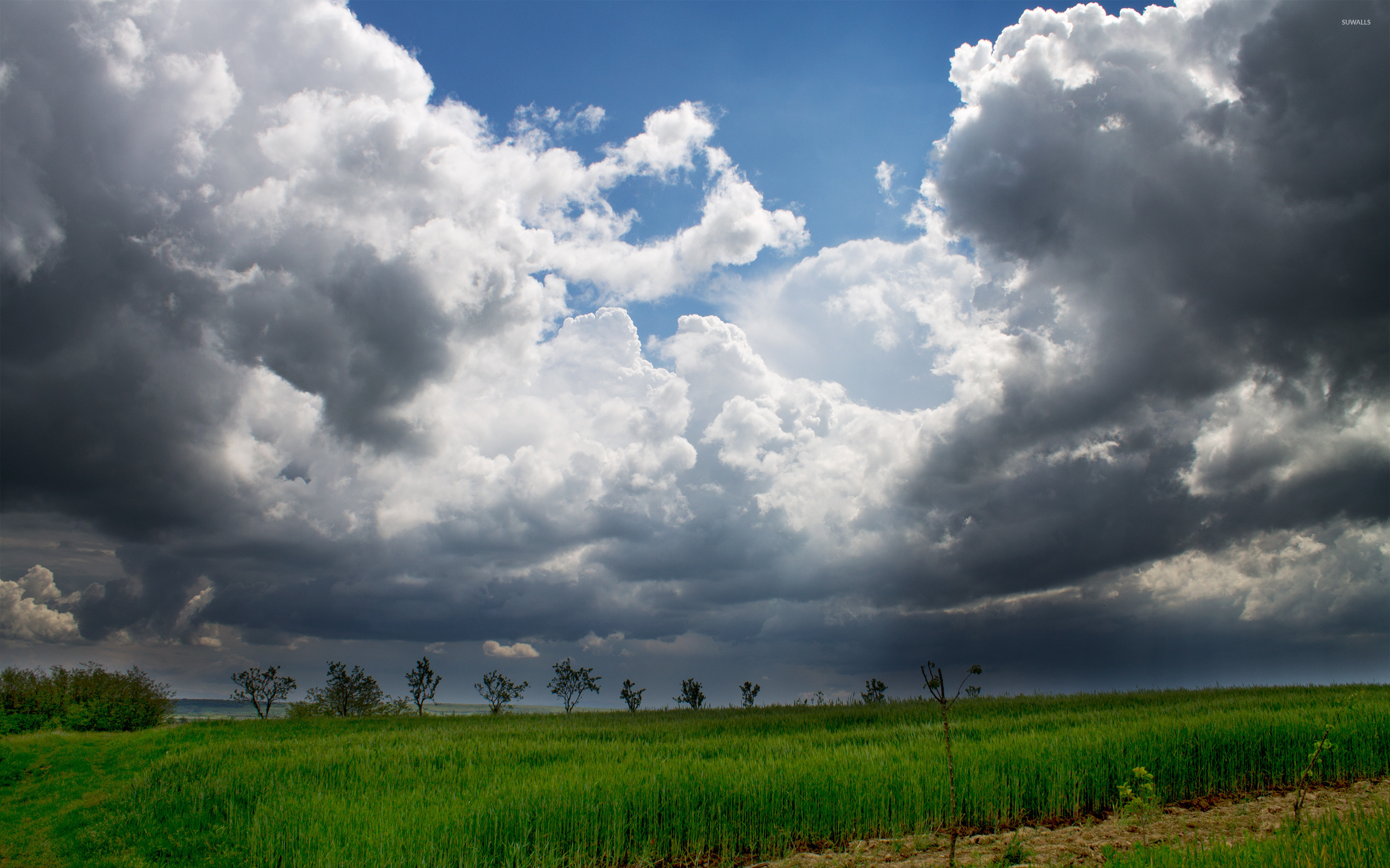 Cloudy Dramatic Hd Field Wallpapers