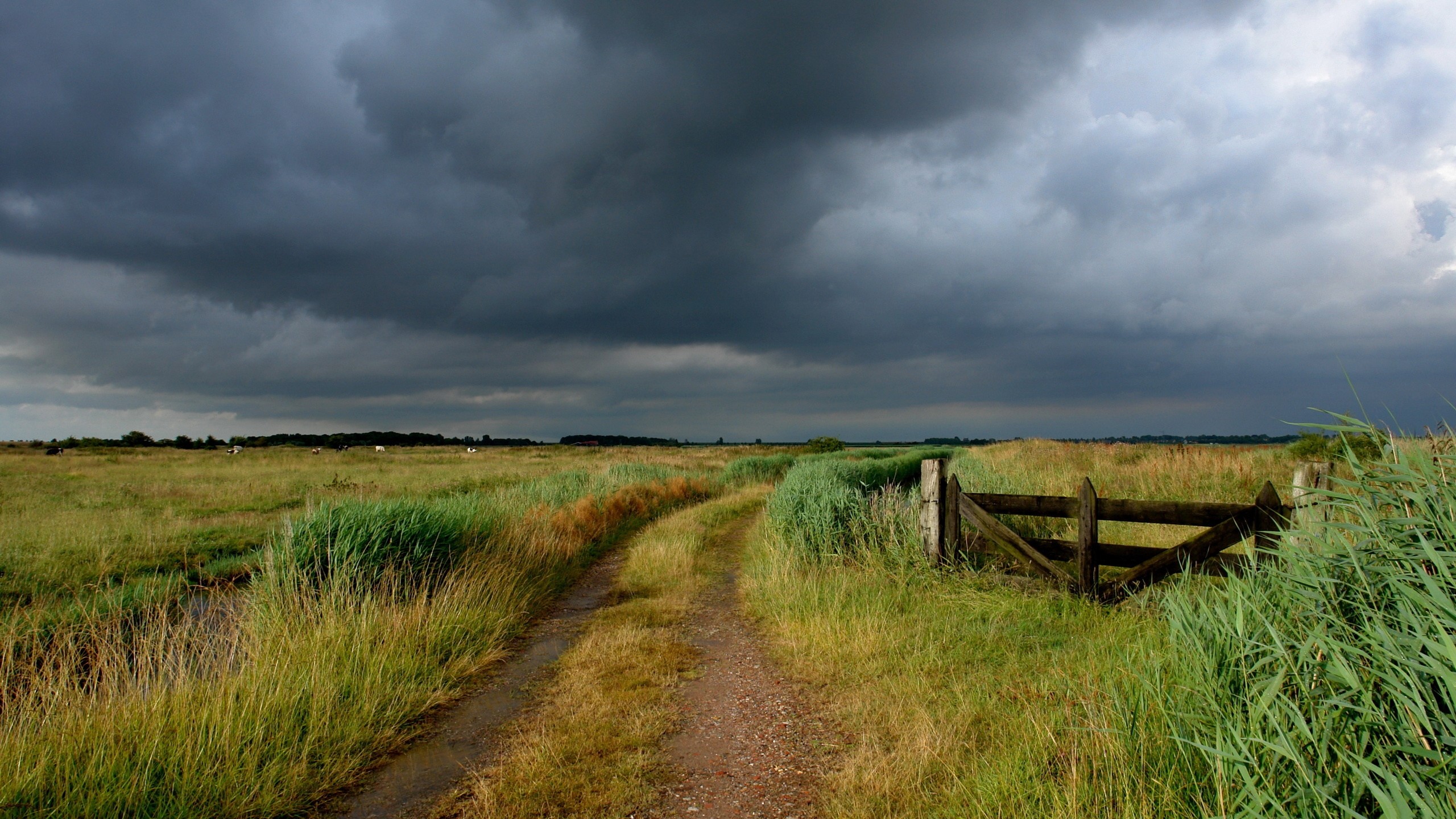 Cloudy Field Paint Wallpapers