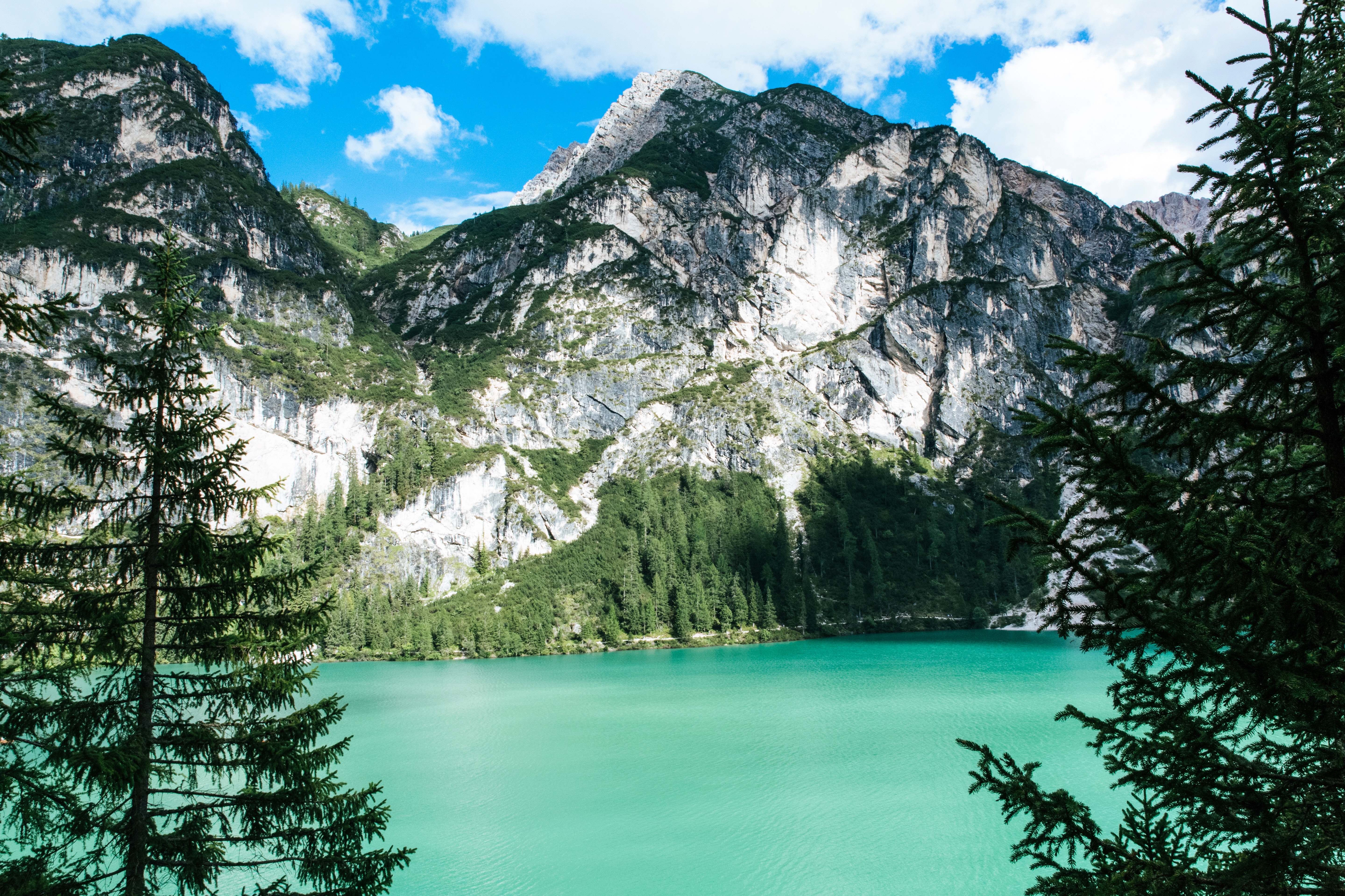 Cloudy Forest Mountains And Lake Wallpapers