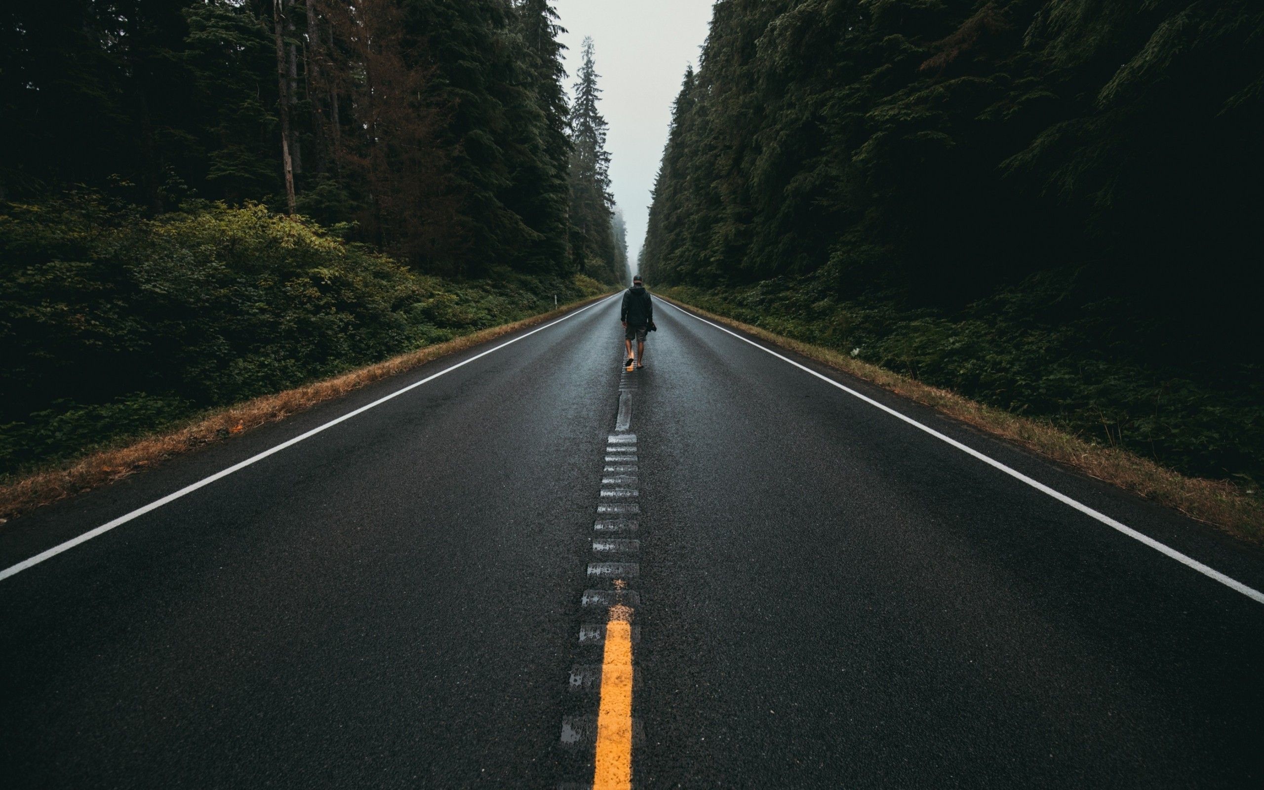 Cloudy Lonely Road Wallpapers