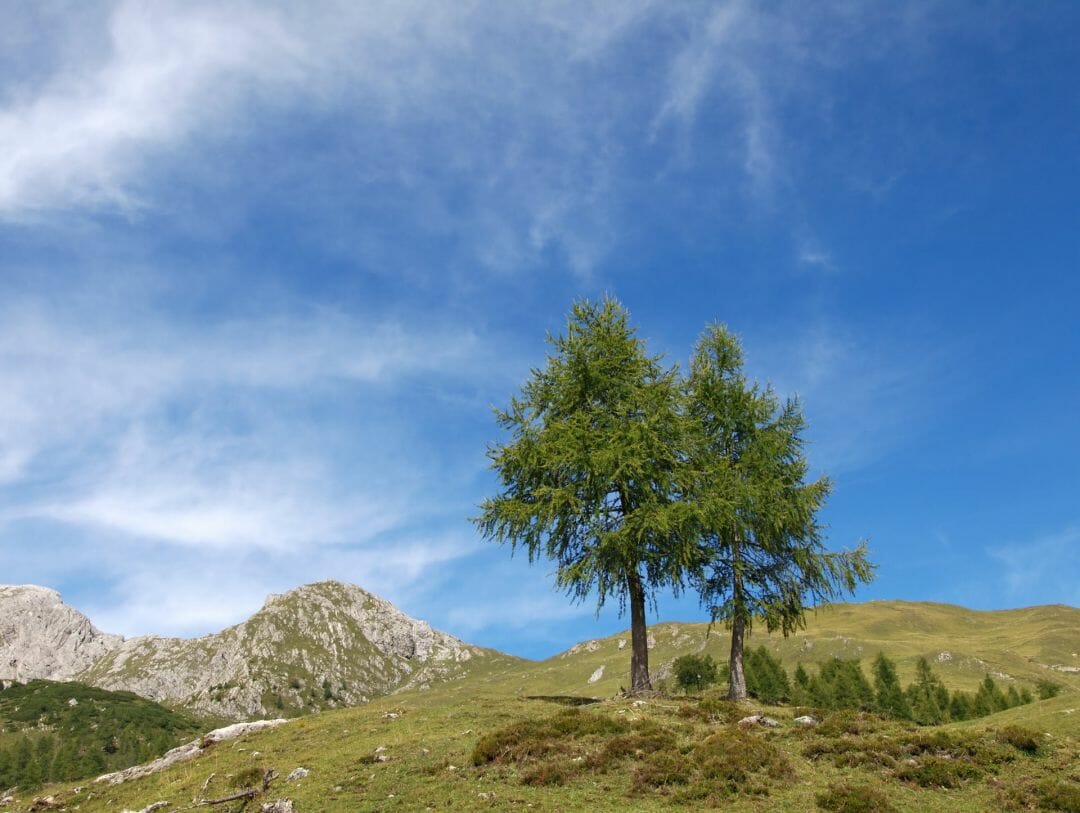 Cloudy Mountain Peak Wallpapers