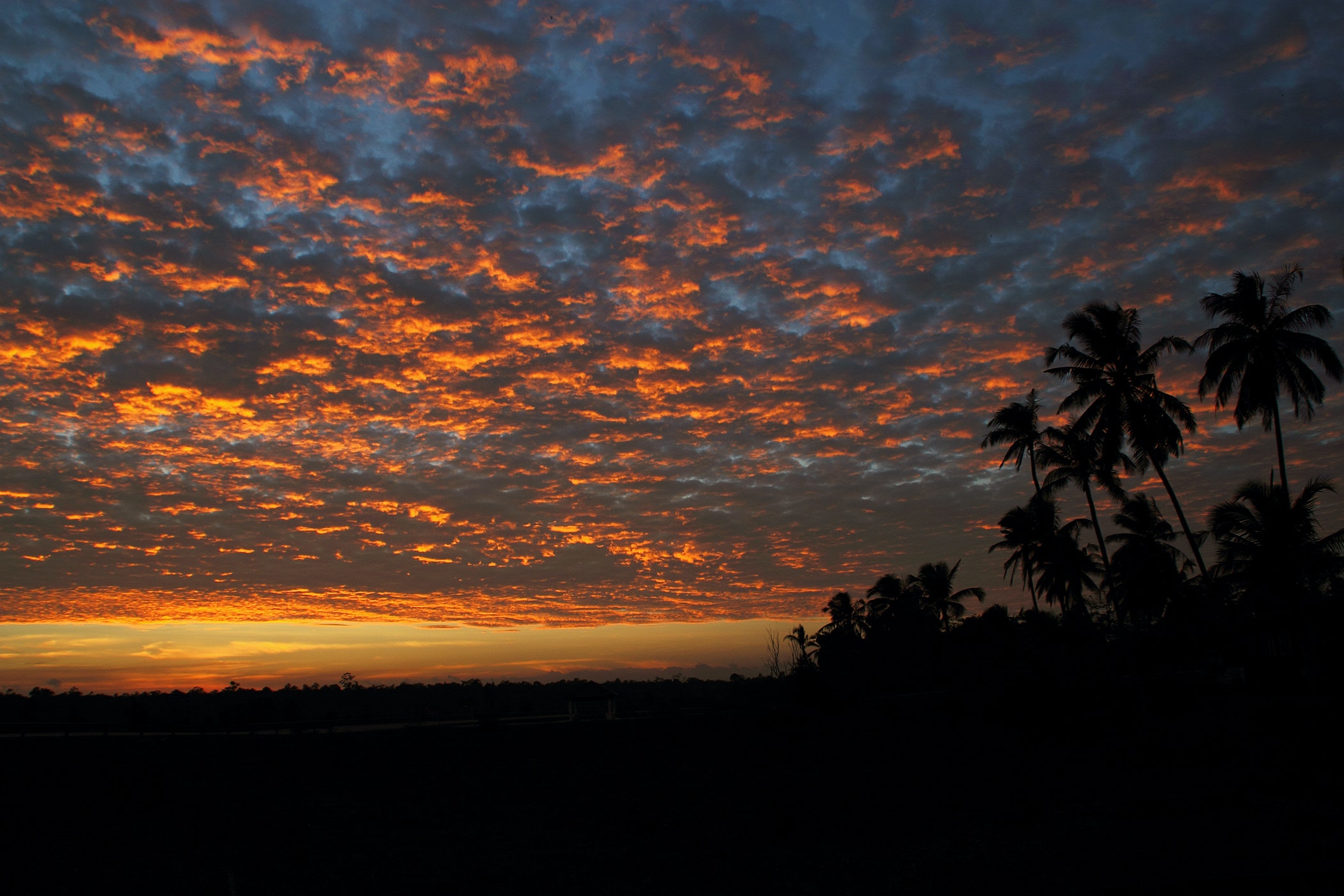 Cloudy Sunset And Trees Wallpapers