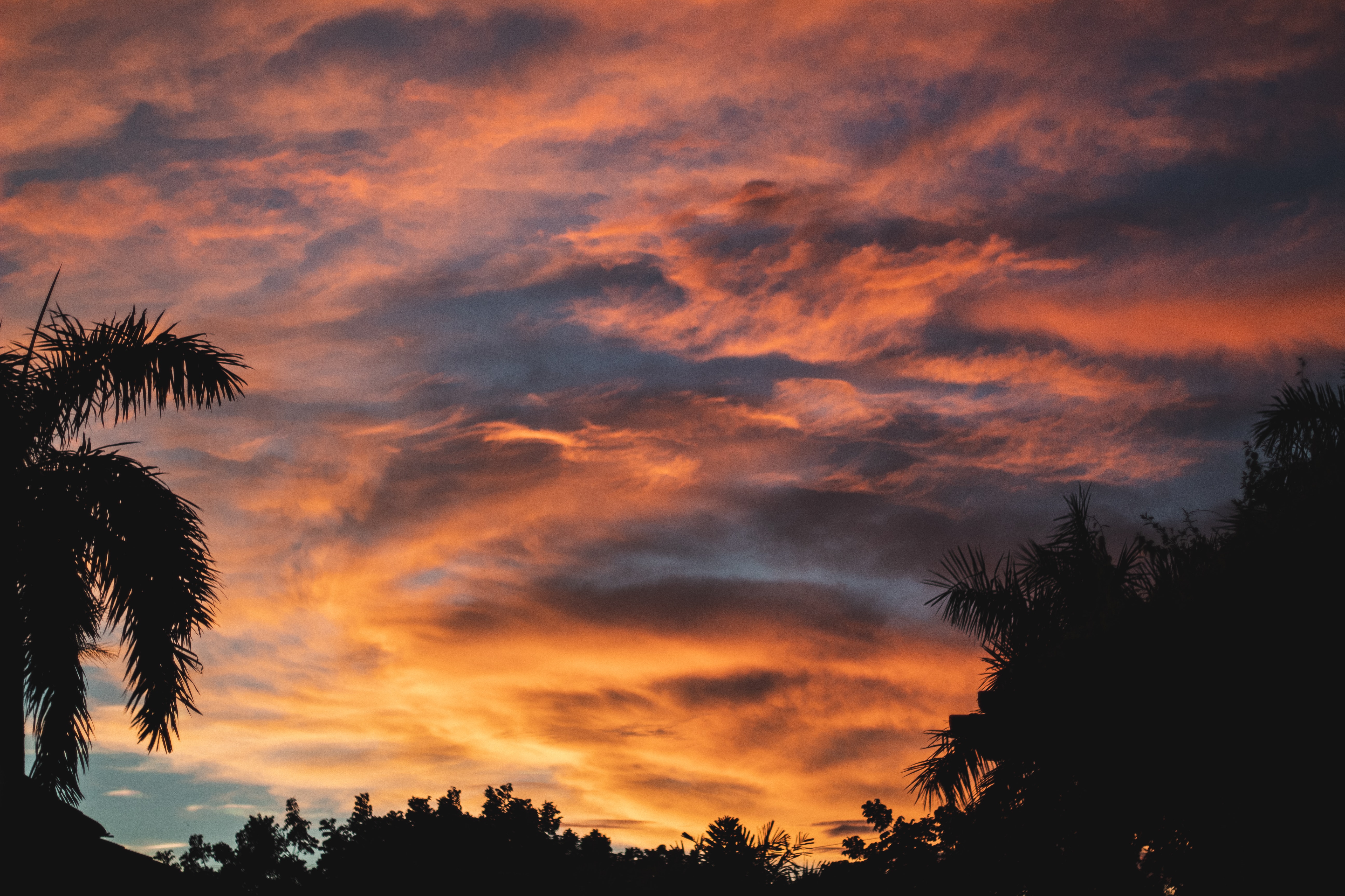 Cloudy Sunset And Trees Wallpapers