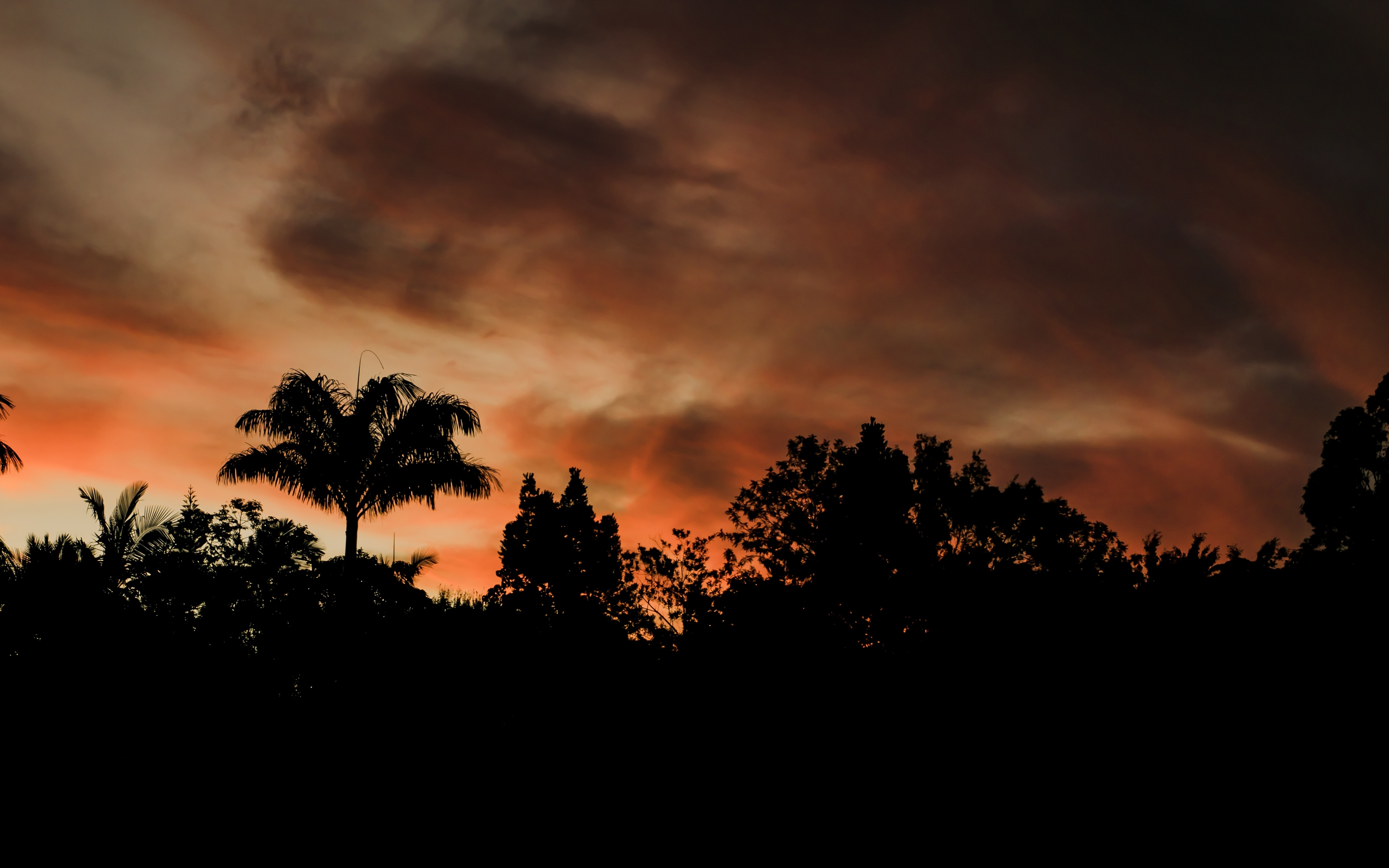 Cloudy Sunset And Trees Wallpapers