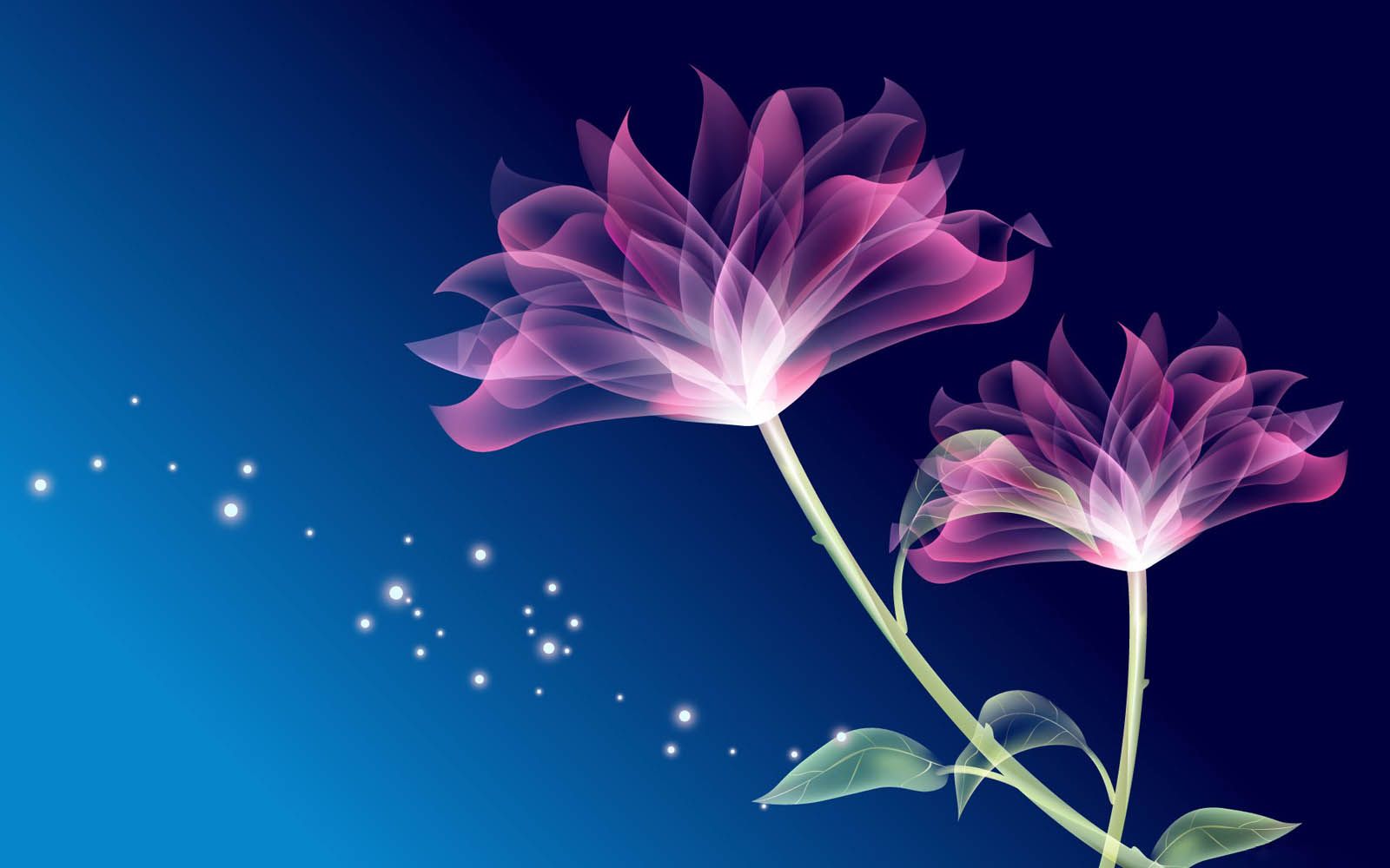 Colorful Flowers Digital Art Wallpapers