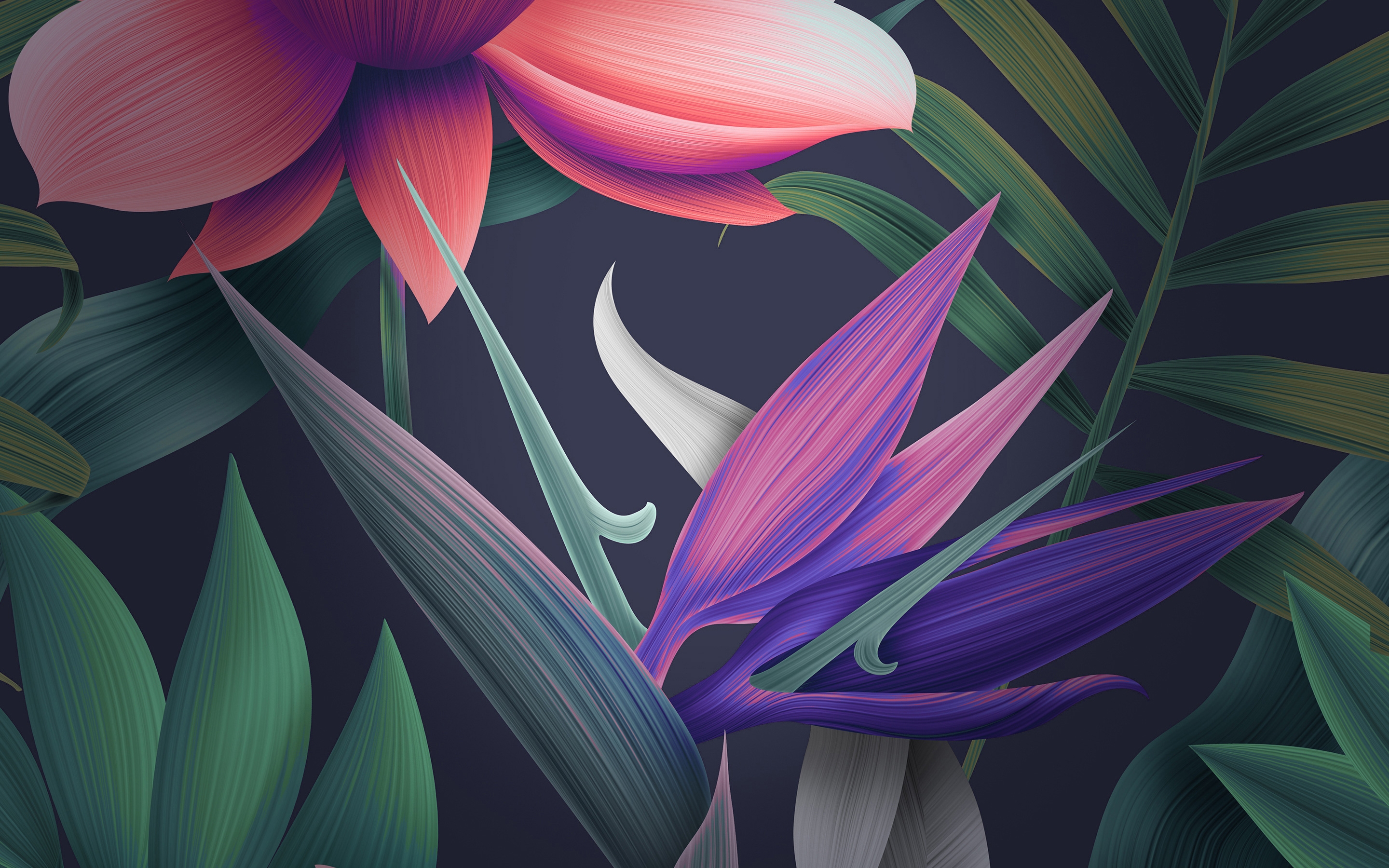 Colorful Flowers Digital Art Wallpapers